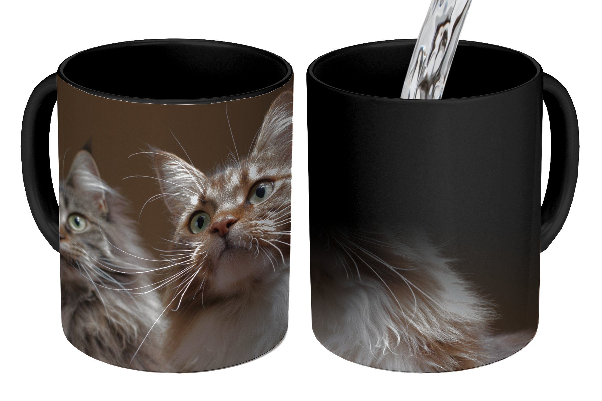 MuchoWow Tasse Zwei süße Maine Coon Katzen, Keramik, Farbwechsel, Kaffeetassen, Teetasse, Zaubertasse, Geschenk | Tassen