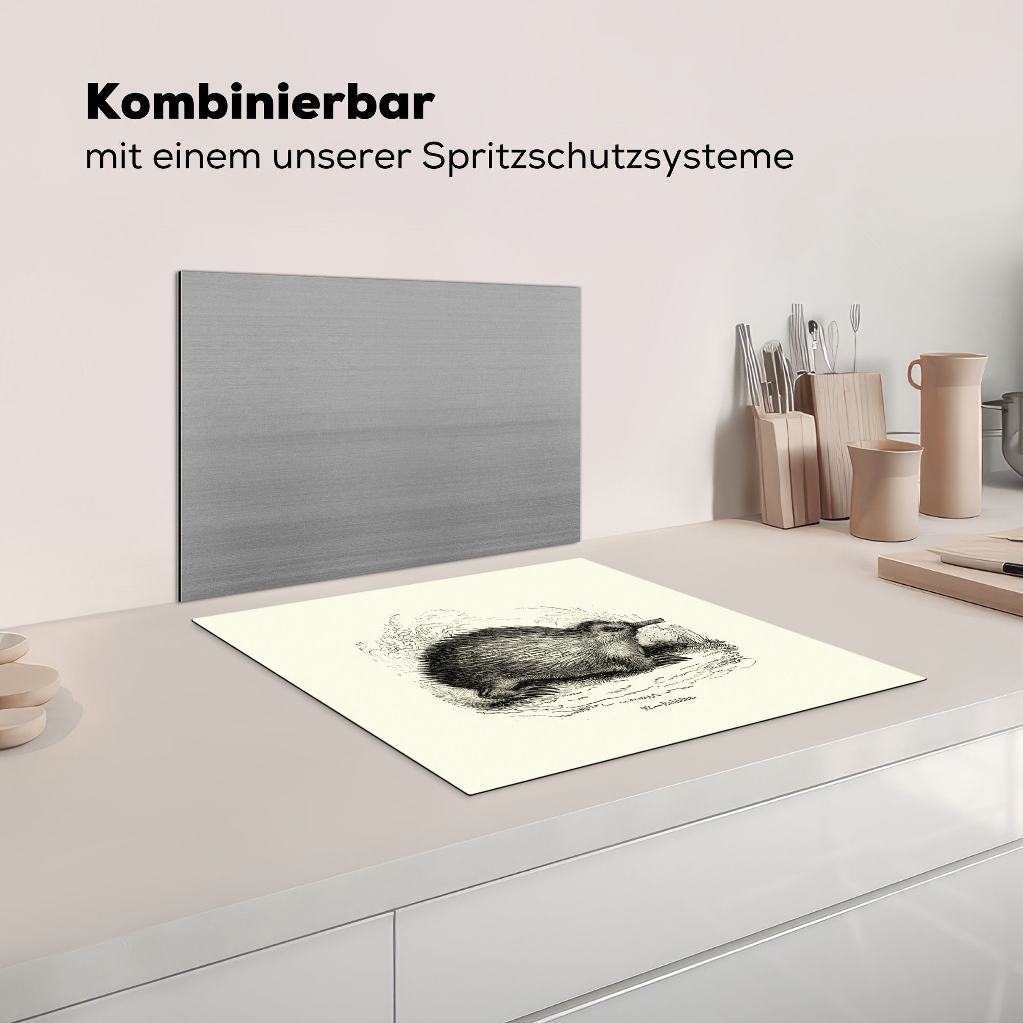 Hintergrund, weißem eines nutzbar, Mobile tlg), Arbeitsfläche Vinyl, MuchoWow auf cm, Ceranfeldabdeckung Ameisenigels 60x52 (1 Herdblende-/Abdeckplatte Illustration