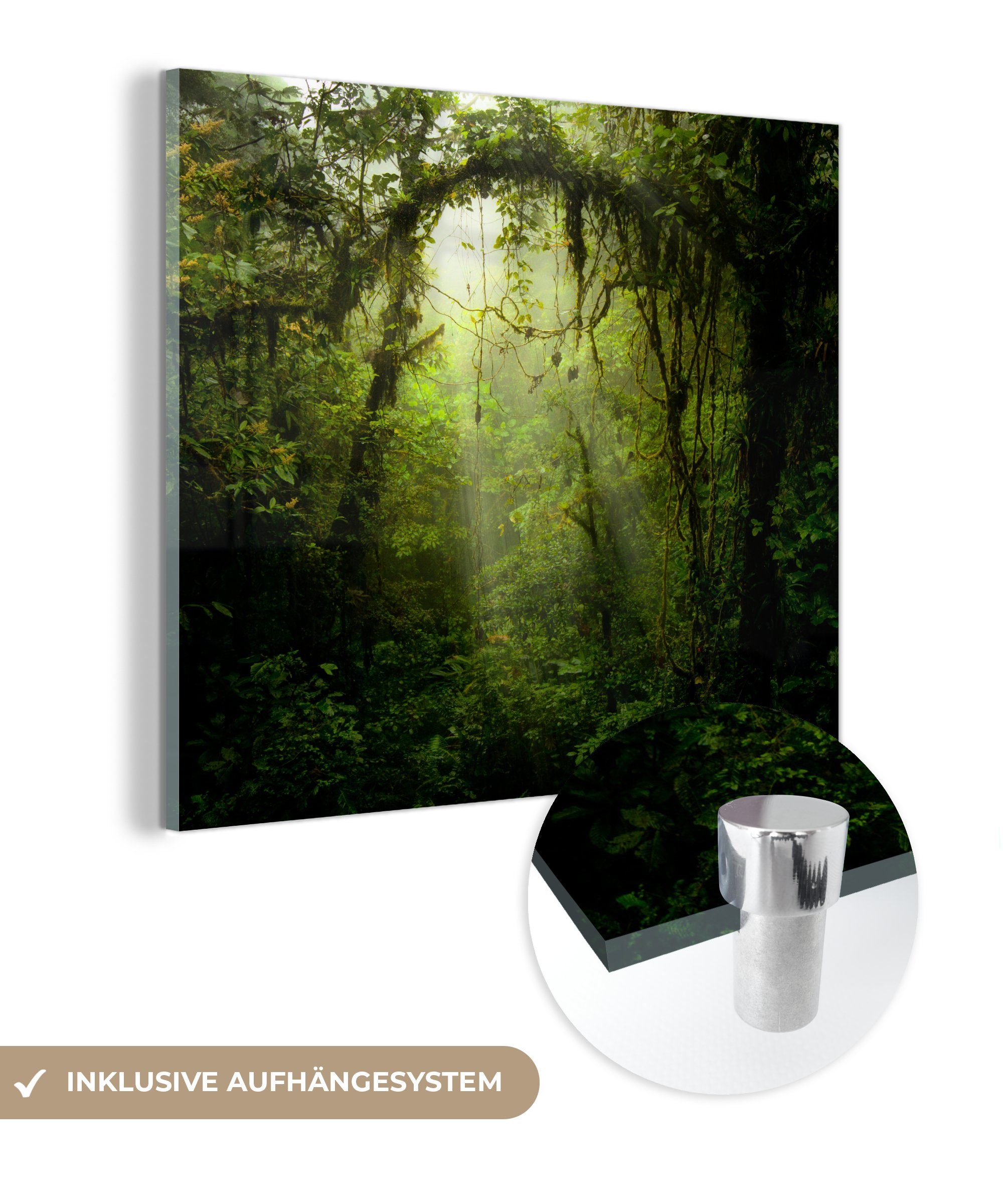 MuchoWow Acrylglasbild Sonnenstrahlen gleiten durch das tropische Blätterdach, (1 St), Glasbilder - Bilder auf Glas Wandbild - Foto auf Glas - Wanddekoration