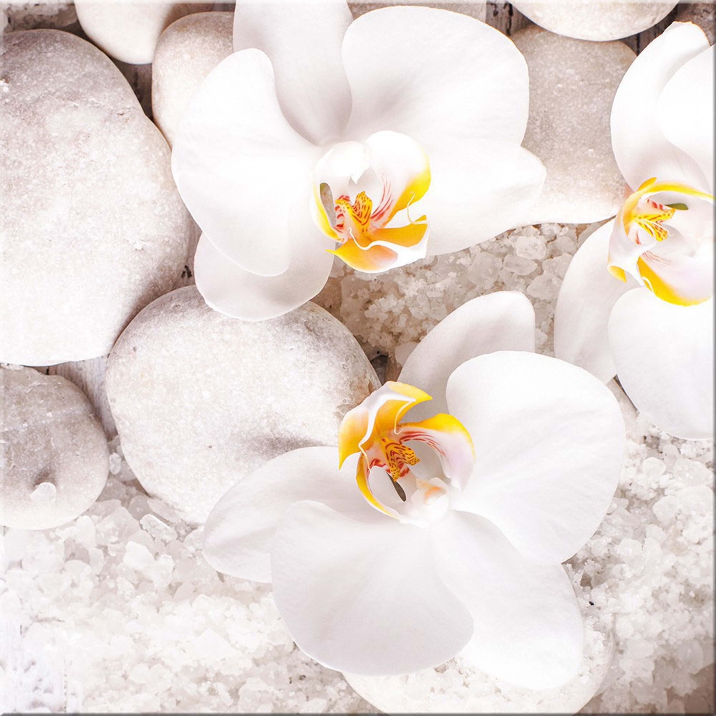 artissimo Glasbild Bild aus Glas 30x30 cm / Wandbild / Blumenbild, Blumen und Blüten: Weiße Orchideen auf Steinen