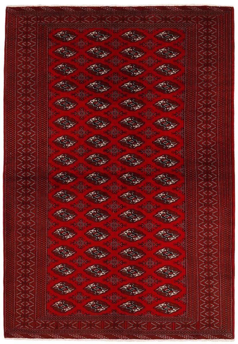 Orientteppich Turkaman 205x296 Handgeknüpfter Orientteppich / Perserteppich, Nain Trading, rechteckig, Höhe: 6 mm