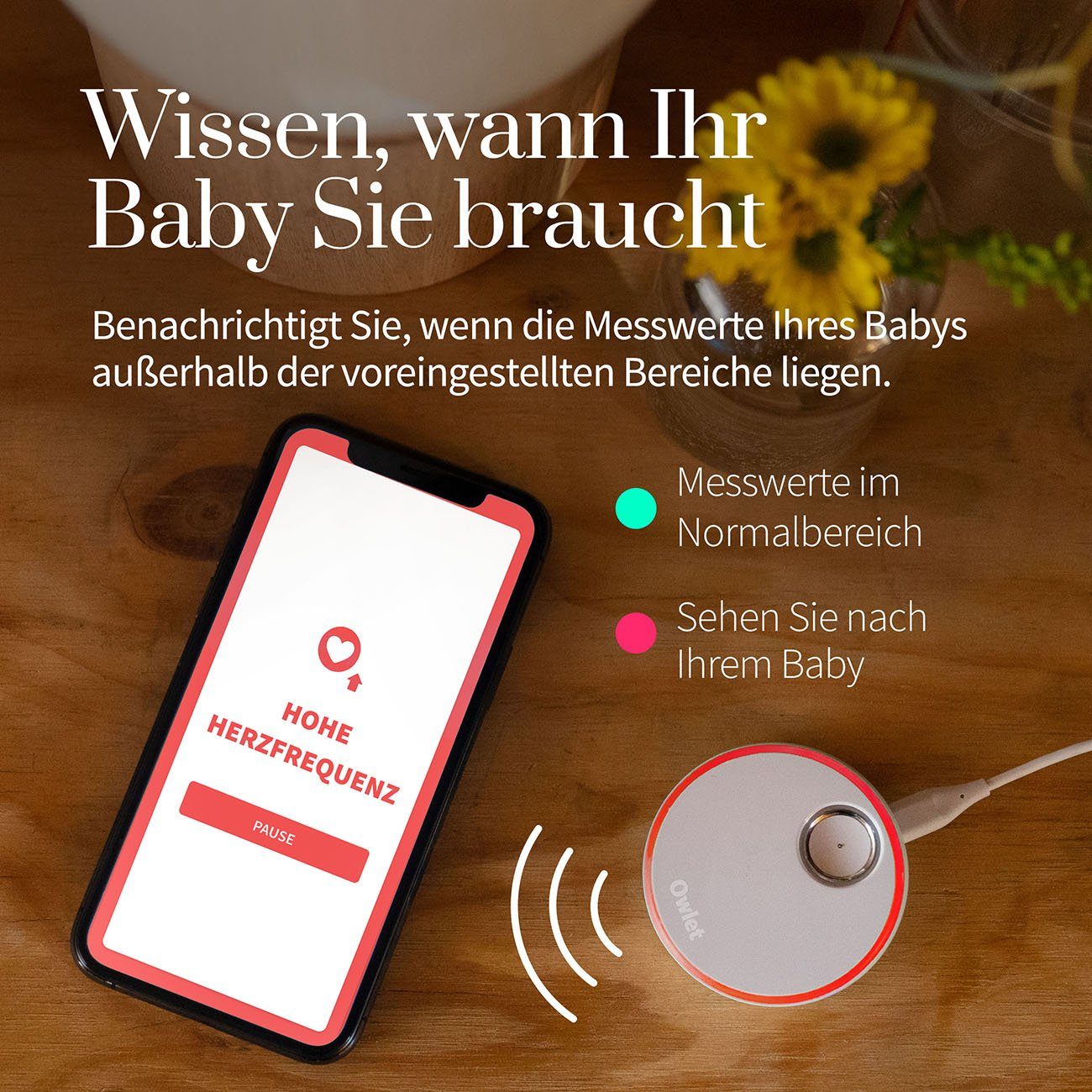 DE Owlet Altrosa - und Smart Babyphone, Smart Care Puls- Sock, 3 Baby Sock Sauerstoffmessung