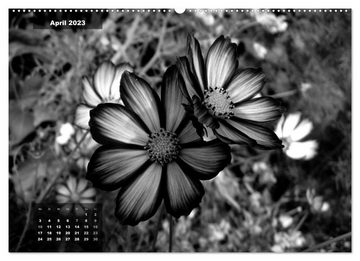 CALVENDO Wandkalender Florale Kontraste in Schwarz-Weiß (Premium, hochwertiger DIN A2 Wandkalender 2023, Kunstdruck in Hochglanz)