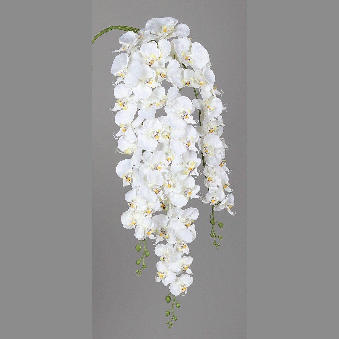 Kunstorchidee, DPI, Weiß L:110cm Kunststoff