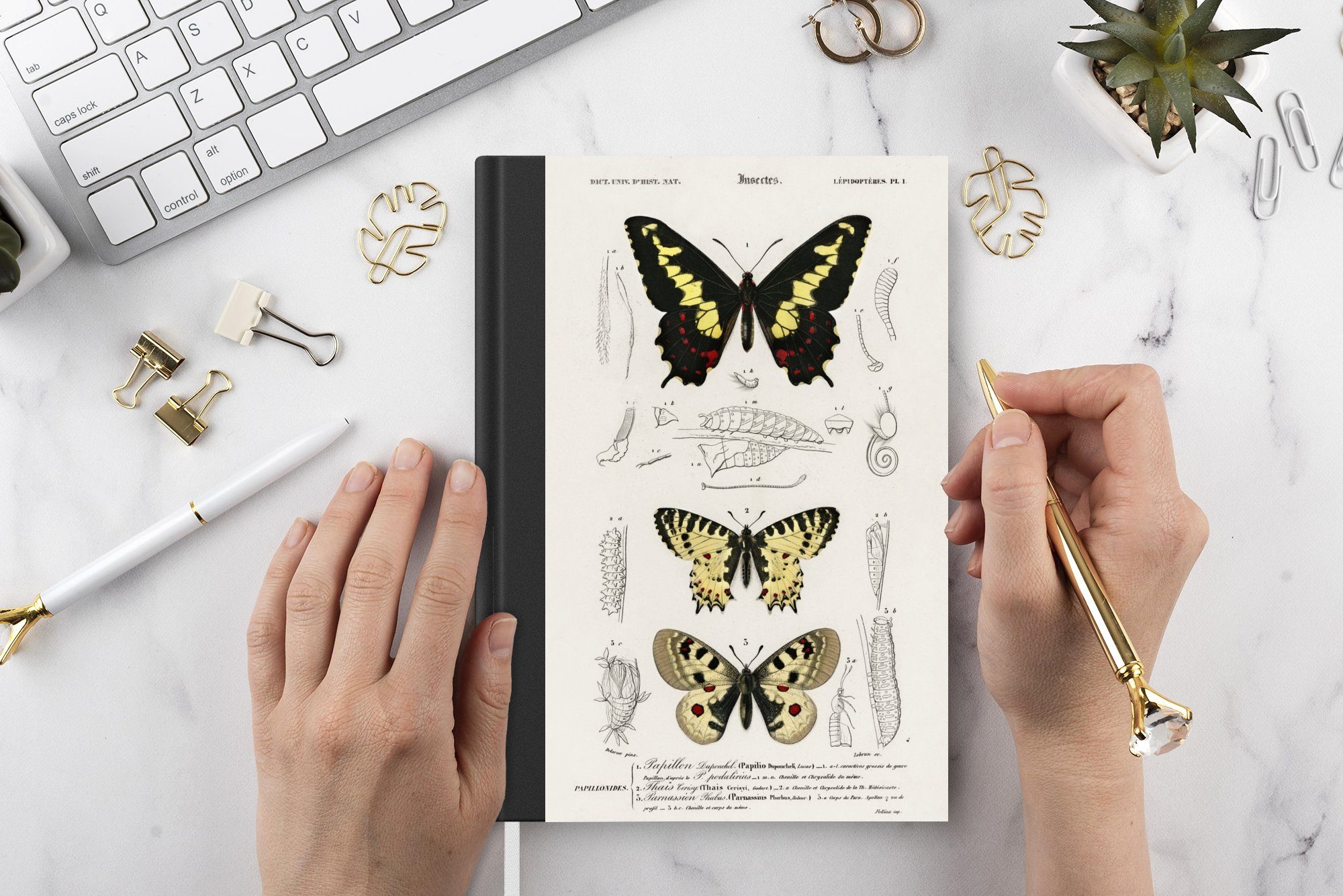 Merkzettel, Insekten, - Seiten, Tagebuch, Haushaltsbuch Journal, MuchoWow A5, - Notizheft, 98 Schmetterling Vintage Notizbuch