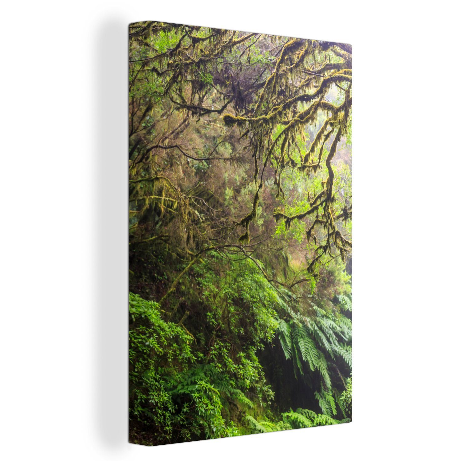 OneMillionCanvasses® Leinwandbild Wald - Licht - Grün, (1 St), Leinwandbild fertig bespannt inkl. Zackenaufhänger, Gemälde, 20x30 cm