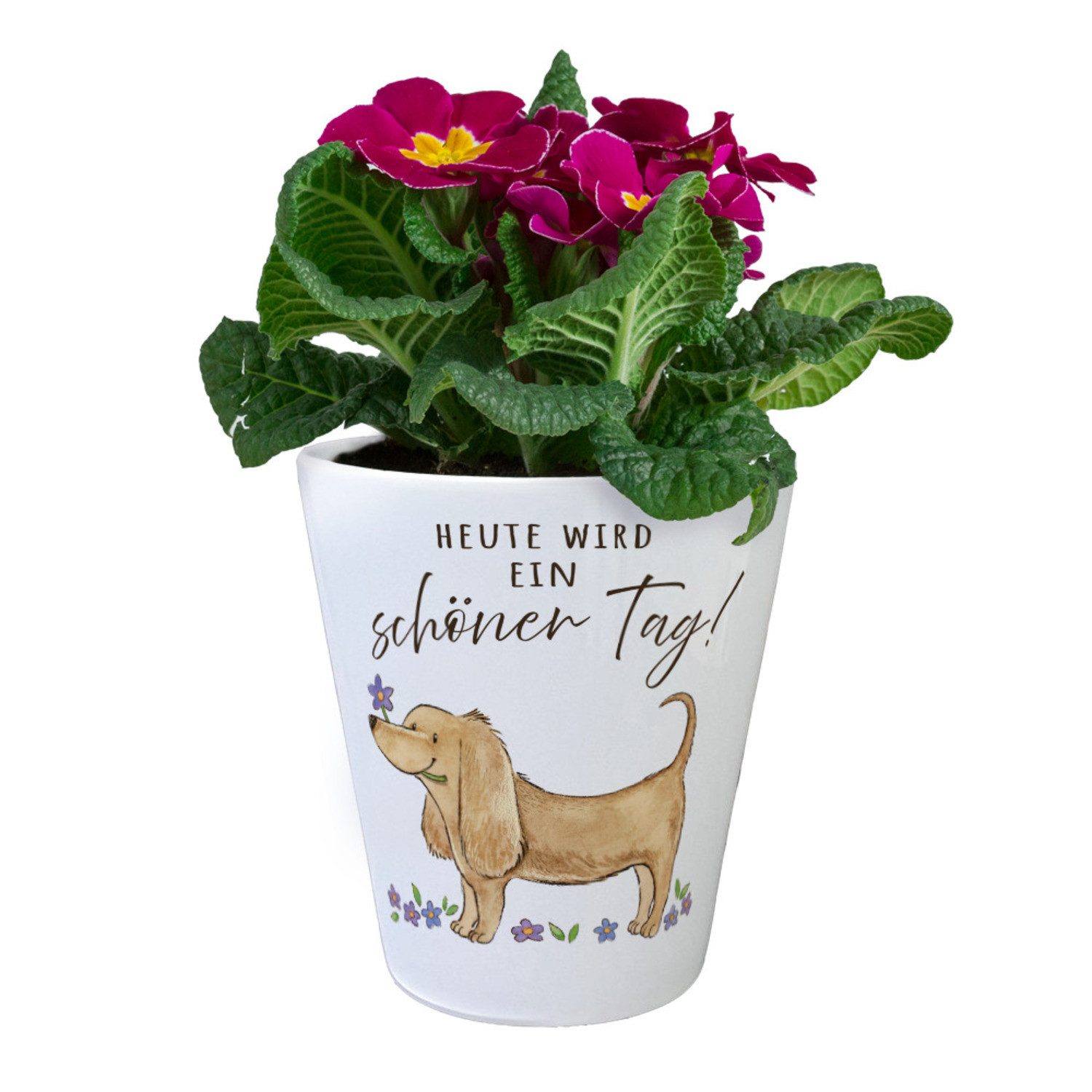 speecheese Blumentopf Dackel mit Blume Blumentopf mit Spruch Heute wird ein schöner Tag