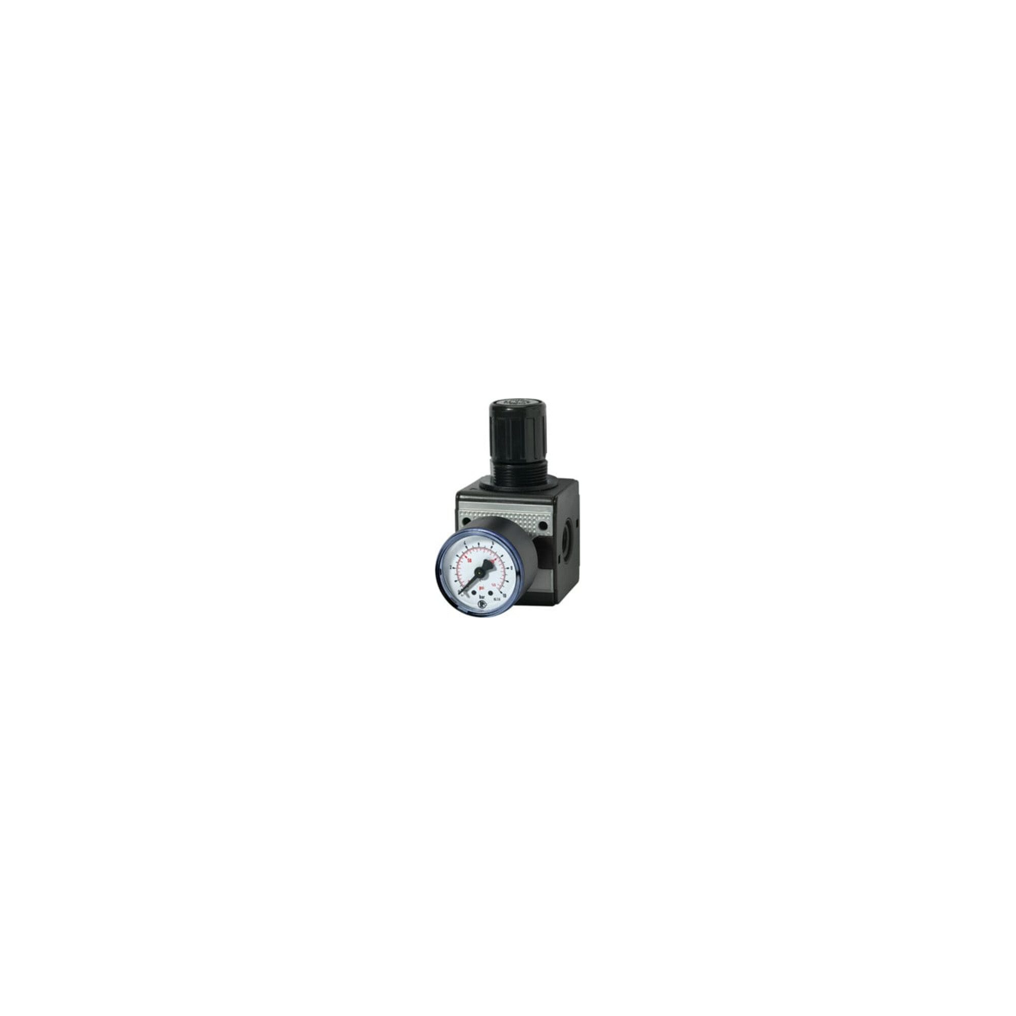 RIEGLER Druckregler Riegler Druckregler »multifix«, inkl. Manometer, BG 1, G 3/8, 0,5-10 b
