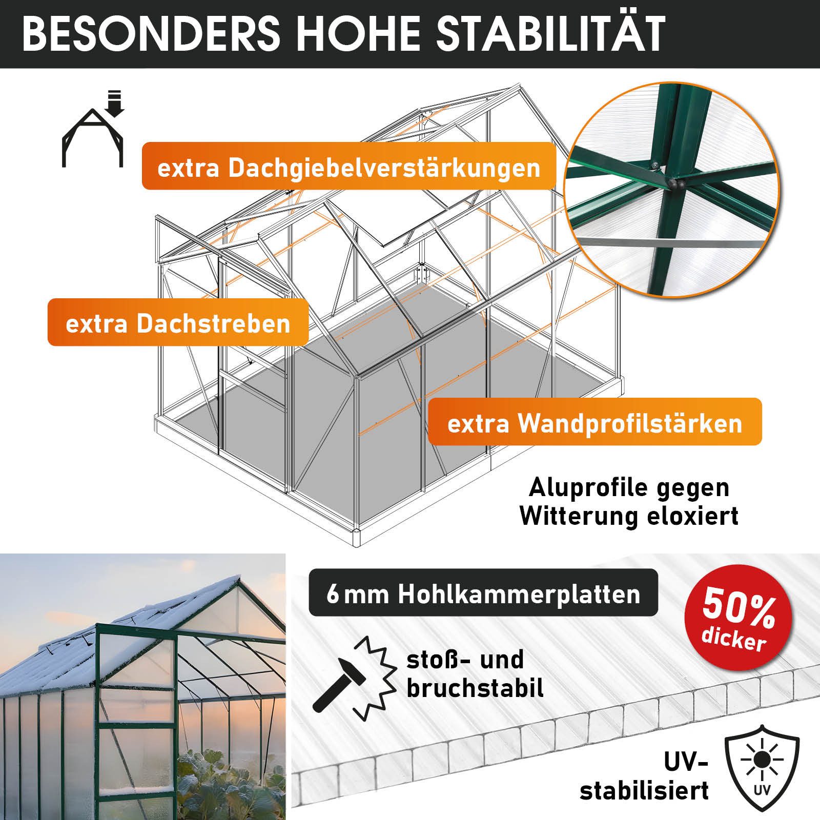 BRAST Gewächshaus ALU mit Fundament rostfrei 250x190x195cm TÜV geprüft, BxTxH: 190 x 250 x 195 cm, wetterfestes hochwertiges Aluminium, Temperaturbeständig, Wär – Bild 3 von 5