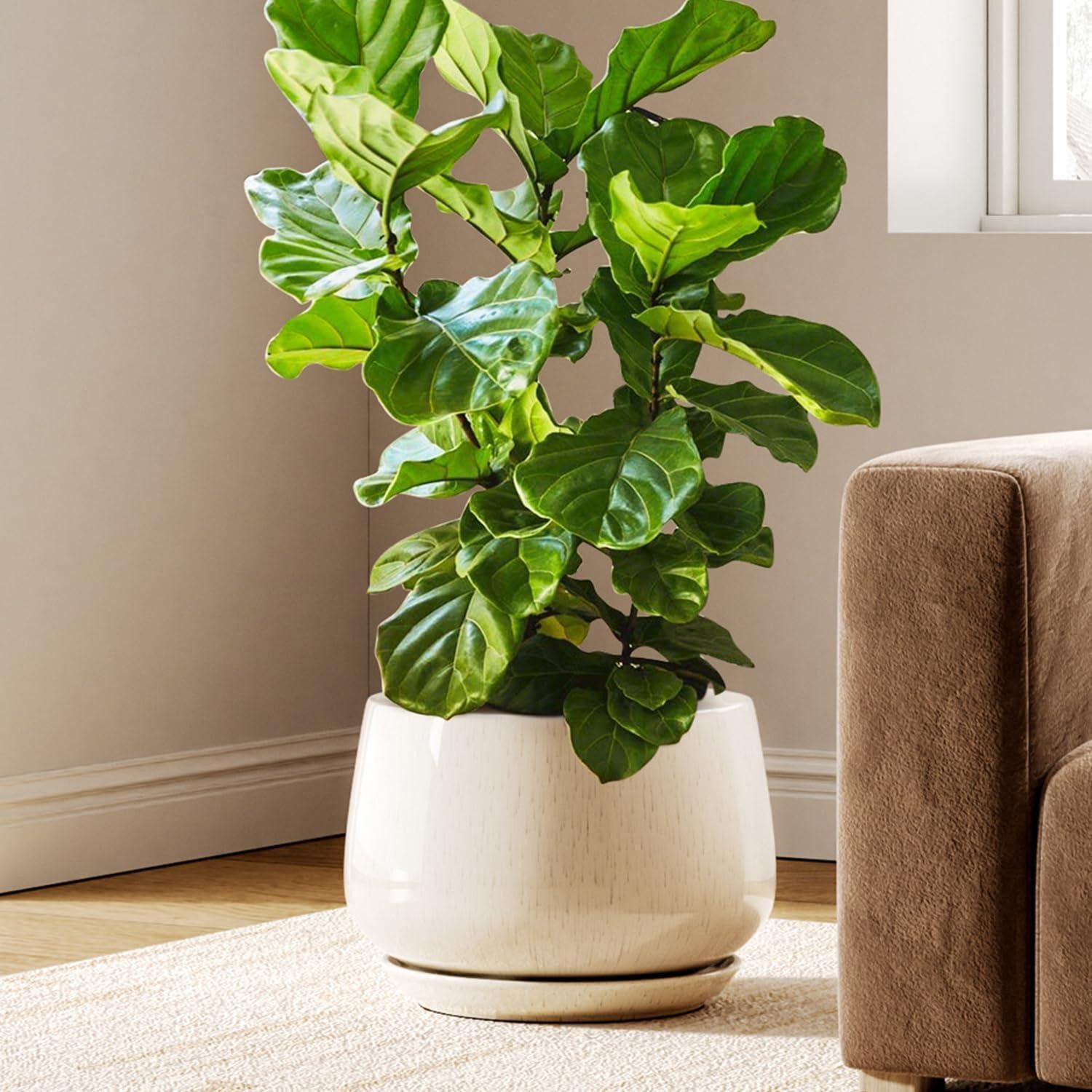 LuxusKollektion Blumentopf Blumentopf Keramik Übertopf Reaktive Glasur Beige L 30cm