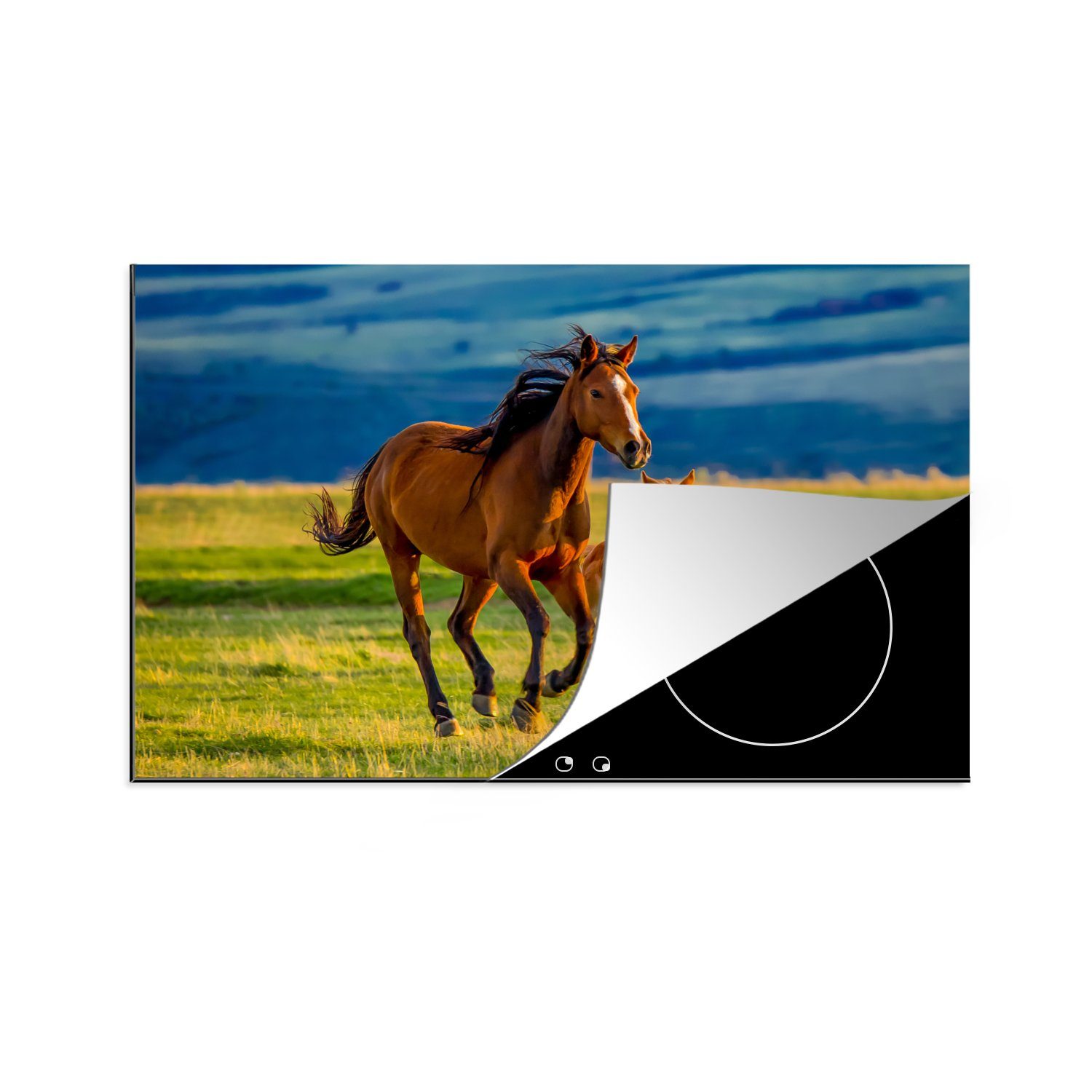 MuchoWow Herdblende-/Abdeckplatte Landschaft Tiere - Vinyl, Natur, (1 81x52 Ceranfeldabdeckung, Pferde küche - Arbeitsplatte tlg), Gras - für cm, 
