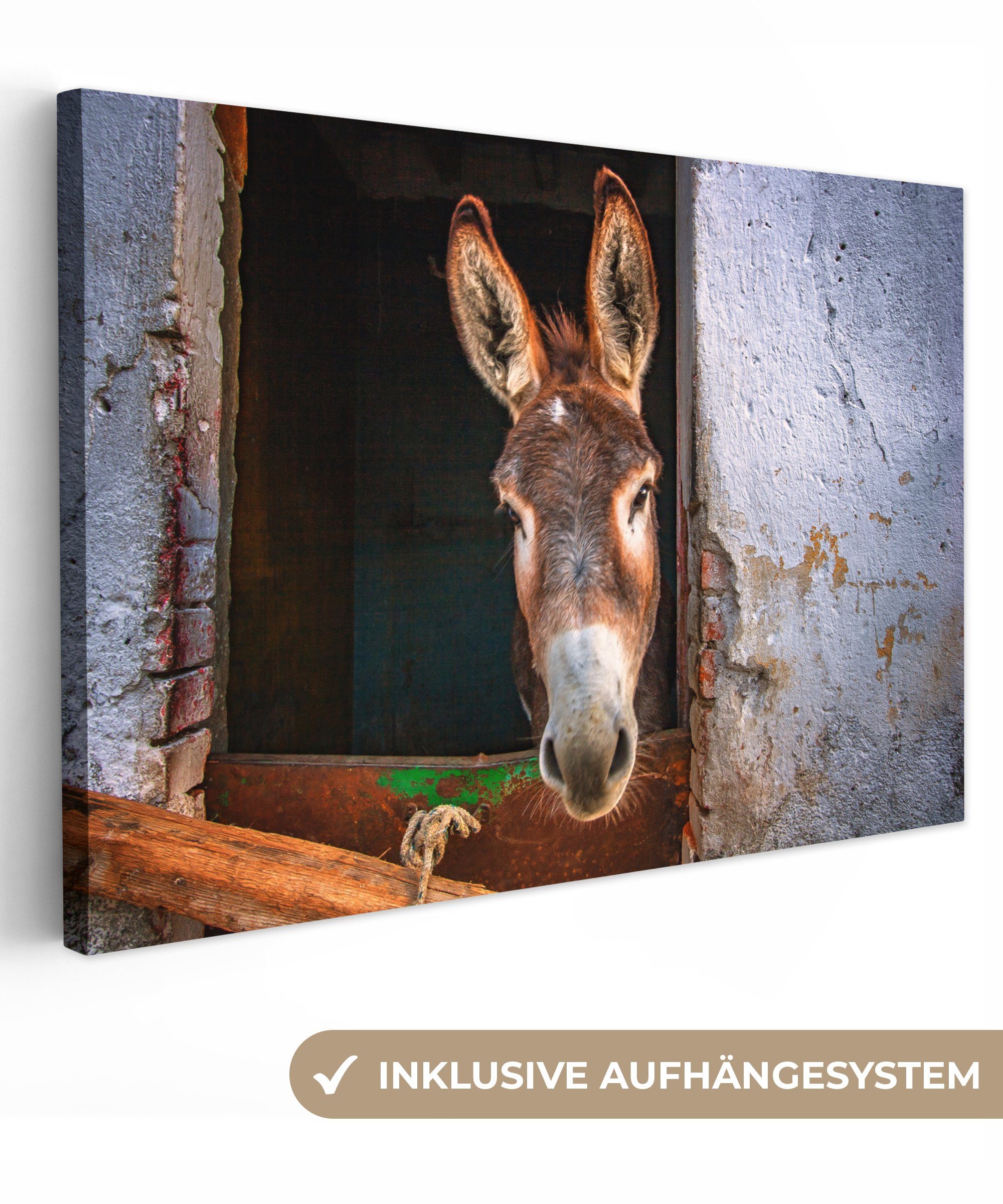 Produktbild von Willion Zwei Süße Esel Leinwanddrucke Wandkunst Gemälde Home Lustige Bauernhof Tierbilder Dekor Kunstwerke Für Wohnzimmer Schlafzimmer Dekor (20x30cm/8x12inch) Innenrahmen