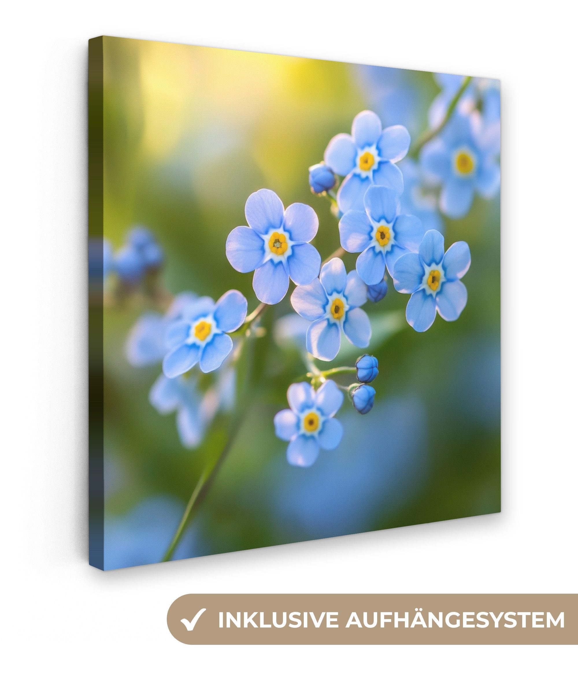OneMillionCanvasses® Leinwandbild Blumen - Blau - Vergissmeinnicht, Fotodruck (1 St), Wandbild, Deko Schlafzimmer Wohnzimmer Flur 20x20 cm