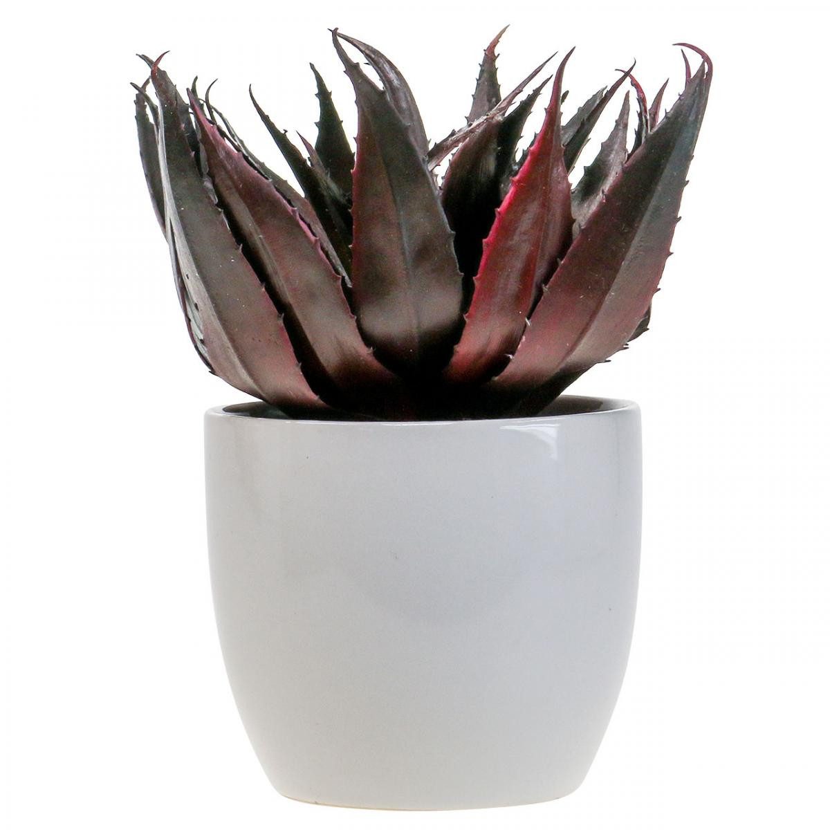Kunstkaktus Kunstpflanze Aloe Vera im dekorativen Topf für modernes, Florists Products, Höhe 20 cm