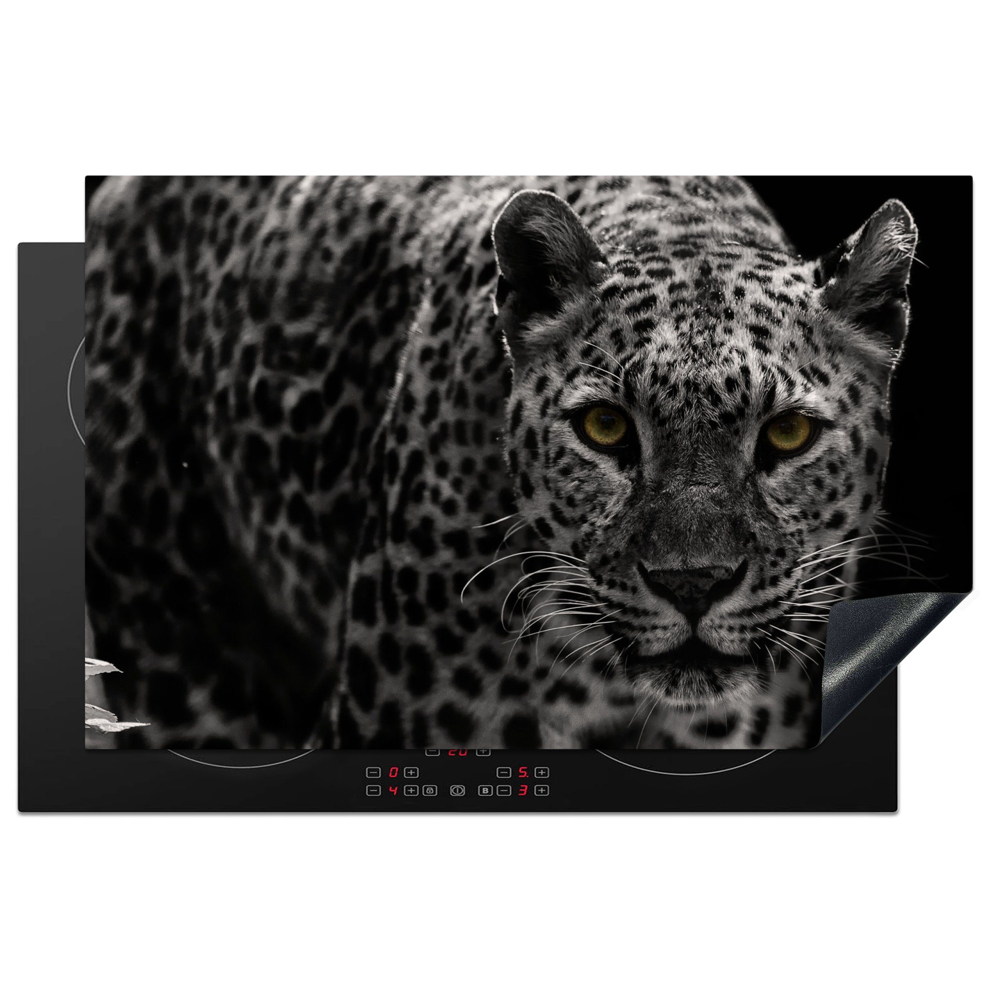 MuchoWow Herdblende-/Abdeckplatte Schwarz-Weiß-Foto eines farbigen Leoparden, Vinyl, (1 tlg), 81x52 cm, Induktionskochfeld Schutz für die küche, Ceranfeldabdeckung