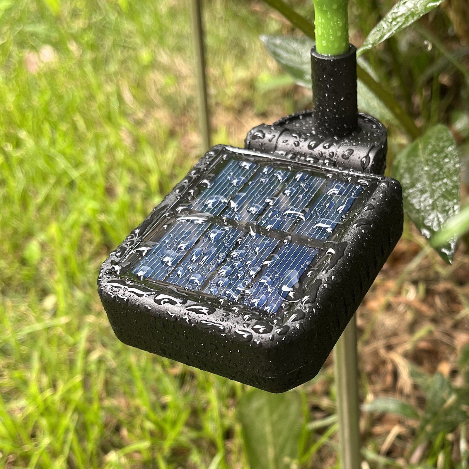 farbenfrohe Wasserdicht für Glühbirnen Gartenleuchten, Terrasse mit Blütenform Garten warmem Dekorative Rutaqian Gartendekoration, 5 Deko Rasen Landschaftsbau, Beleuchtungszubehör Garten Gartenleuchten energiesparende Außenlampen Gartenleuchte Sonnenlicht, Licht,