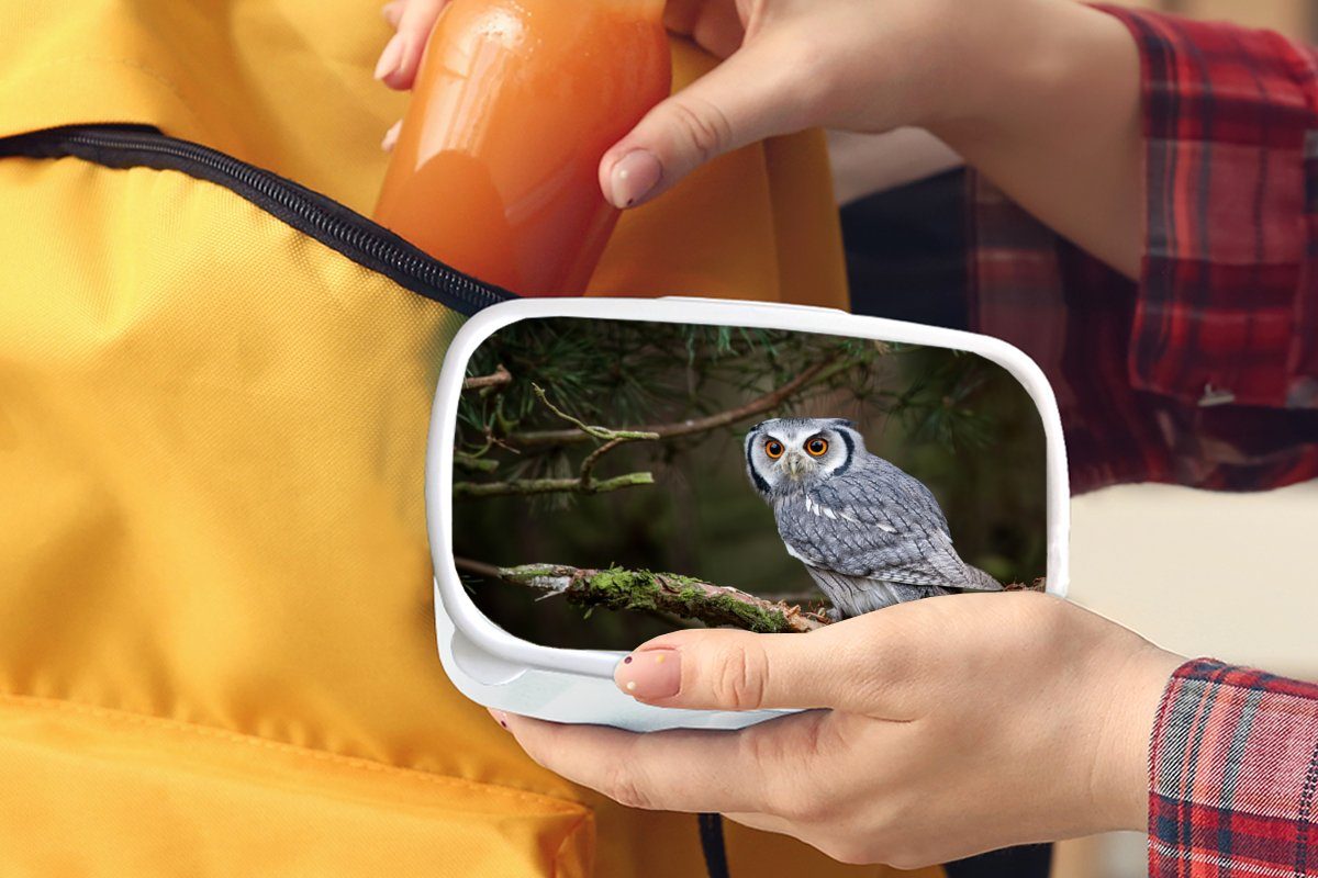 Erwachsene, für und Brotdose, - Äste Vogel Jungs Lunchbox für und Brotbox - Eule Kunststoff, Natur, Kinder MuchoWow (2-tlg), weiß - Mädchen