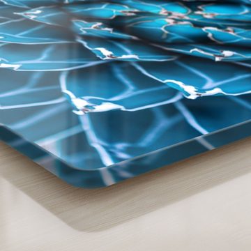 DEQORI Schneidebrett 'Detailansicht einer Agave', Glas, Platte Frühstücksbrett Schneideplatte