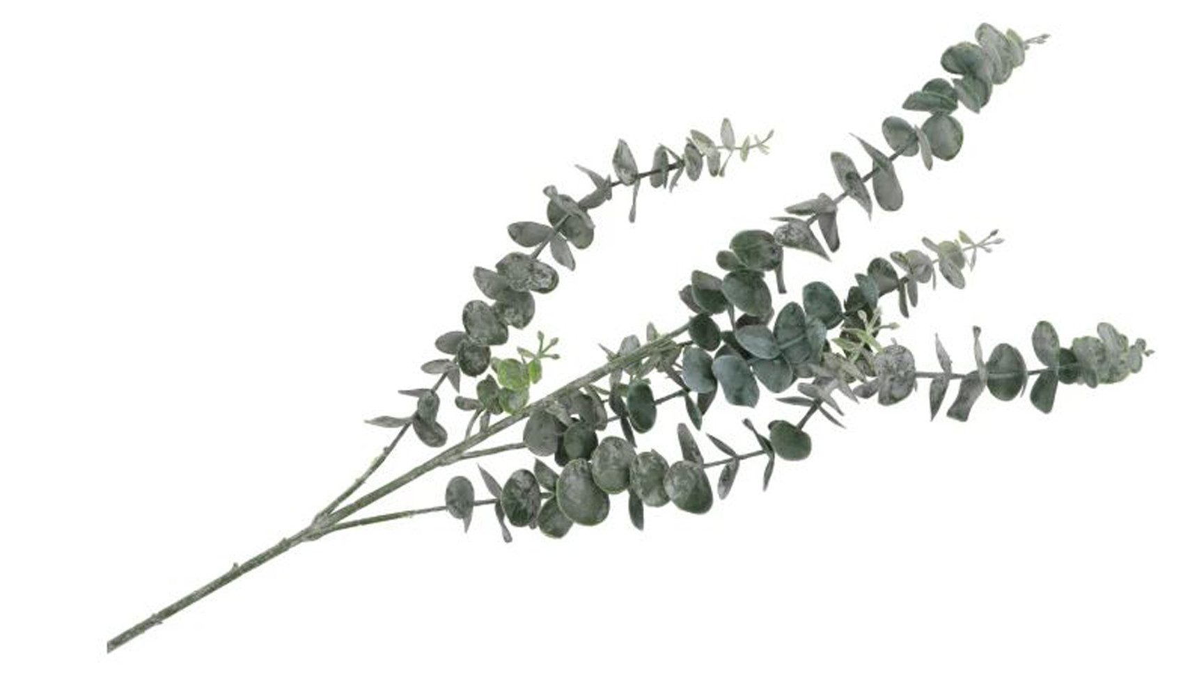 Kunstblume Dekozweig Kunstblume Eukalyptus graugrün L88 cm verzweigt
