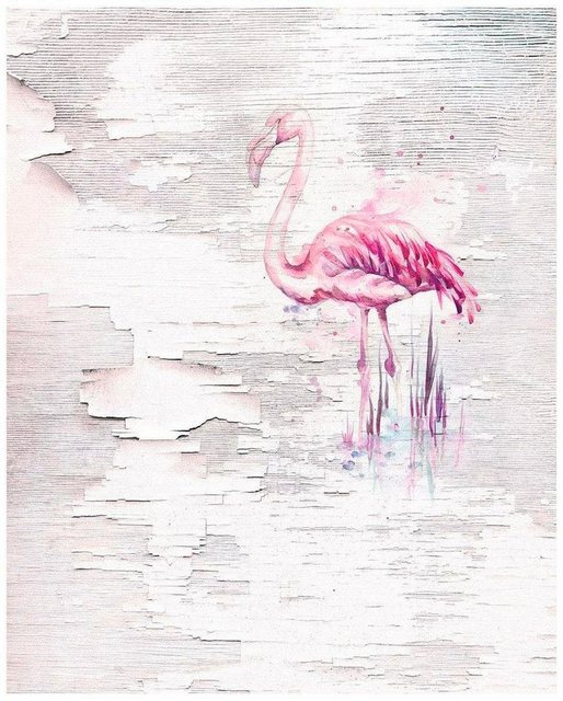 Komar Vliestapete »Pink Flamingo«, glatt, tropisch-Otto