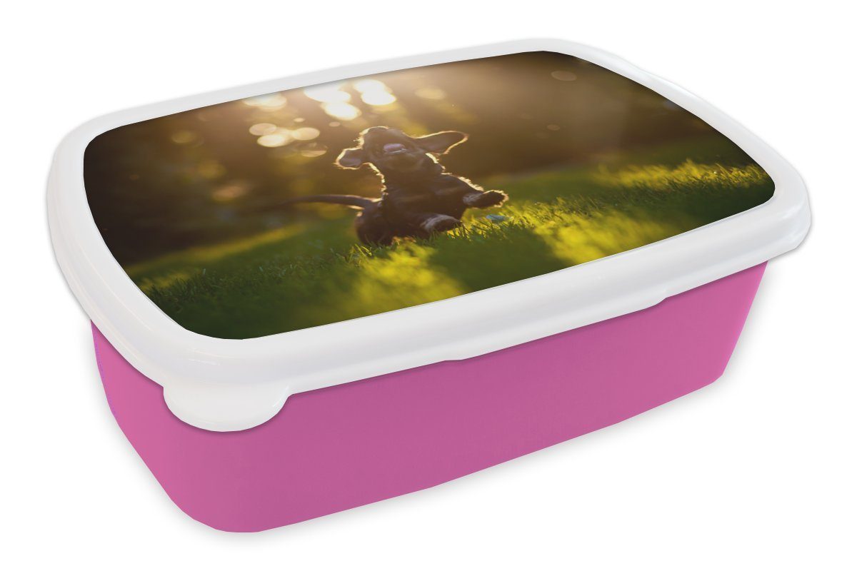 MuchoWow Lunchbox Welpe läuft im Gras, Kunststoff, (2-tlg), Brotbox für Erwachsene, Brotdose Kinder, Snackbox, Mädchen, Kunststoff rosa