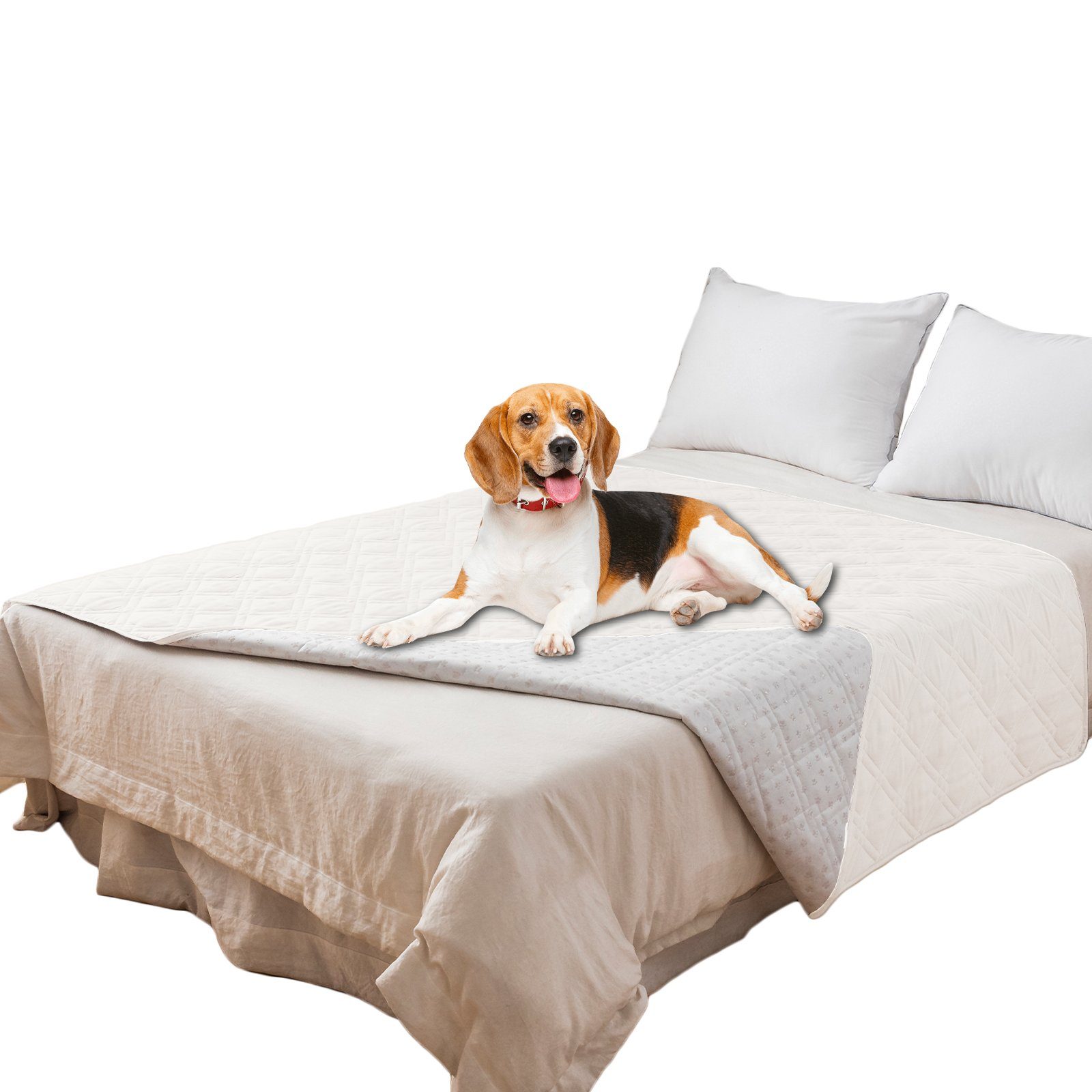 Rosnek Bettbezug Gesteppt, wasserdicht, rutschfest, für Bett Sofa Haustierm günstig online kaufen