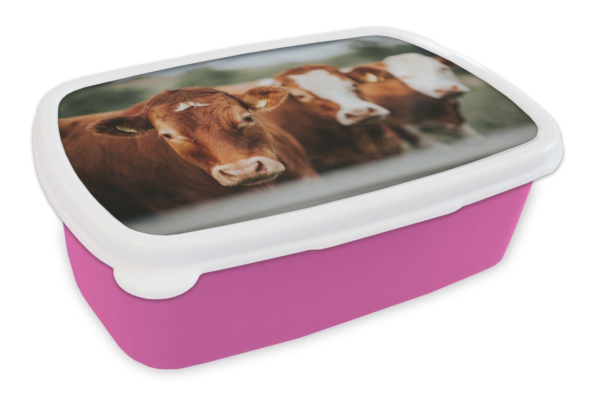 MuchoWow Lunchbox Kühe - Gras - Zaun, Kunststoff, (2-tlg), Brotbox für Erwachsene, Brotdose Kinder, Snackbox, Mädchen, Kunststoff rosa