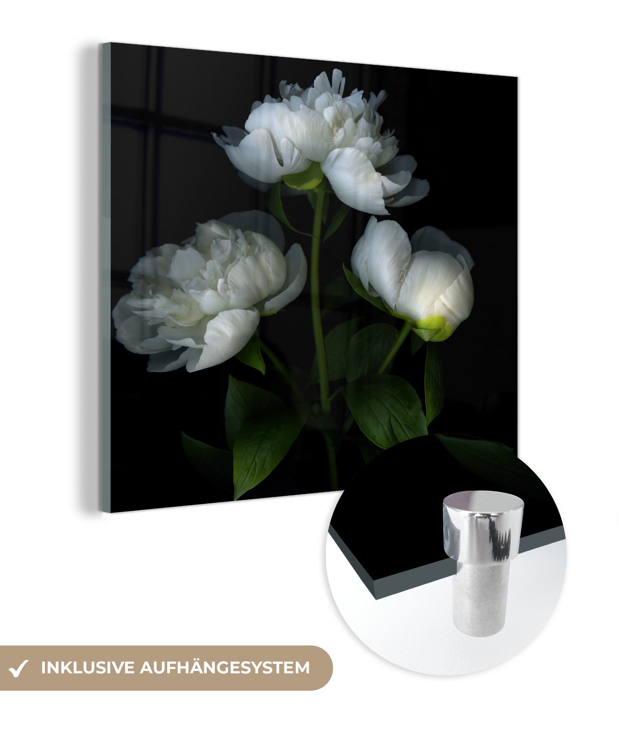 MuchoWow Acrylglasbild Weiße Pfingstrosen mit schwarzem Hintergrund, (1 St), Glasbilder - Bilder auf Glas Wandbild - Foto auf Glas - Wanddekoration