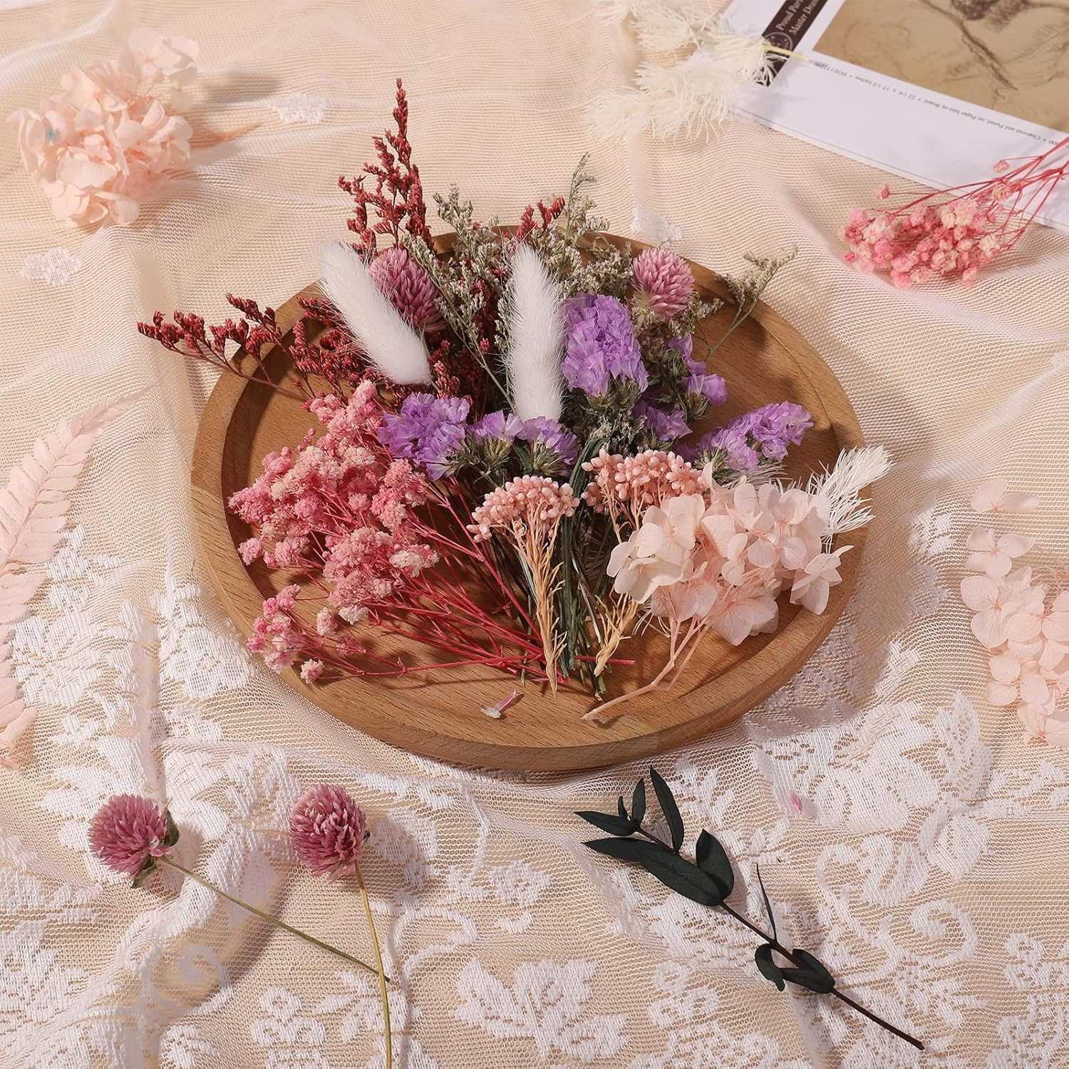 Trockenblume 100% Natürliche getrocknte Blumen, DIY günstig online kaufen