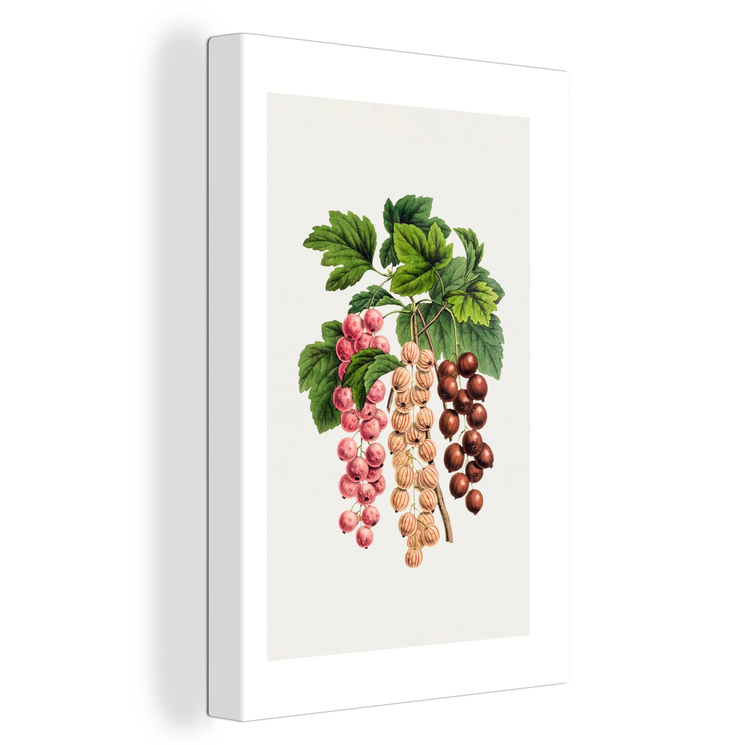 OneMillionCanvasses® Leinwandbild Obst - Beeren - Lebensmittel, (1 St), Leinwandbild fertig bespannt inkl. Zackenaufhänger, Gemälde, 20x30 cm | Leinwandbilder