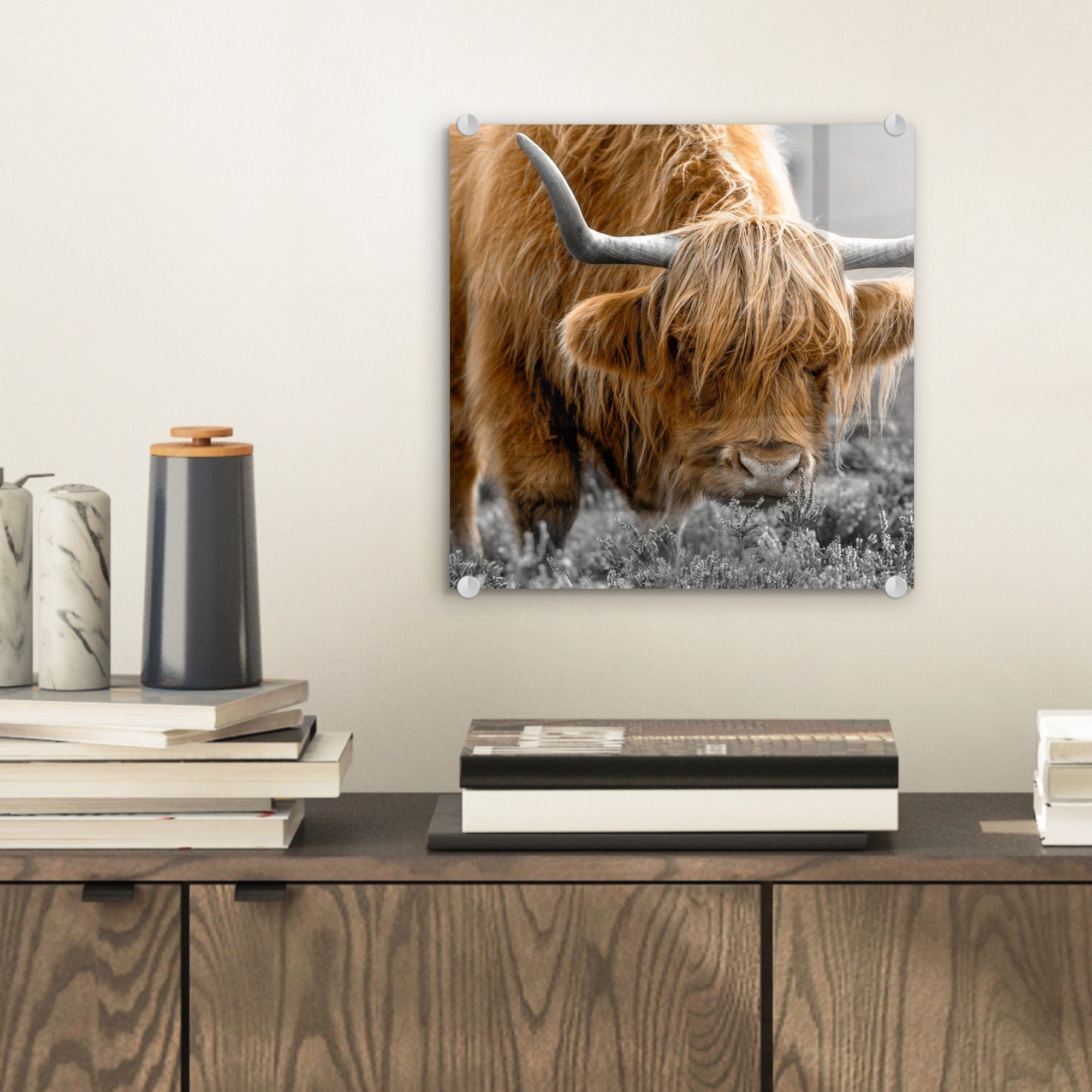 Schwarz Weiß Foto Braun Tiere Schottischer Kuh St), - auf - Highlander - MuchoWow Glasbilder auf Wandbild Glas bunt - - - - - Wanddekoration (1 Bilder Glas - Natur, Acrylglasbild