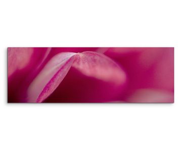 Sinus Art Leinwandbild Naturfotografie  Pinke Blütenblätter mit Rand auf Leinwand exklusives Wandbild moderne Fotografie f