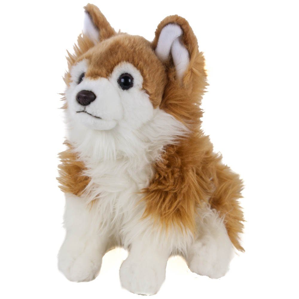 Teddys Rothenburg Kuscheltier Chihuahua braun/weiß sitzend 30 cm Plüschhund