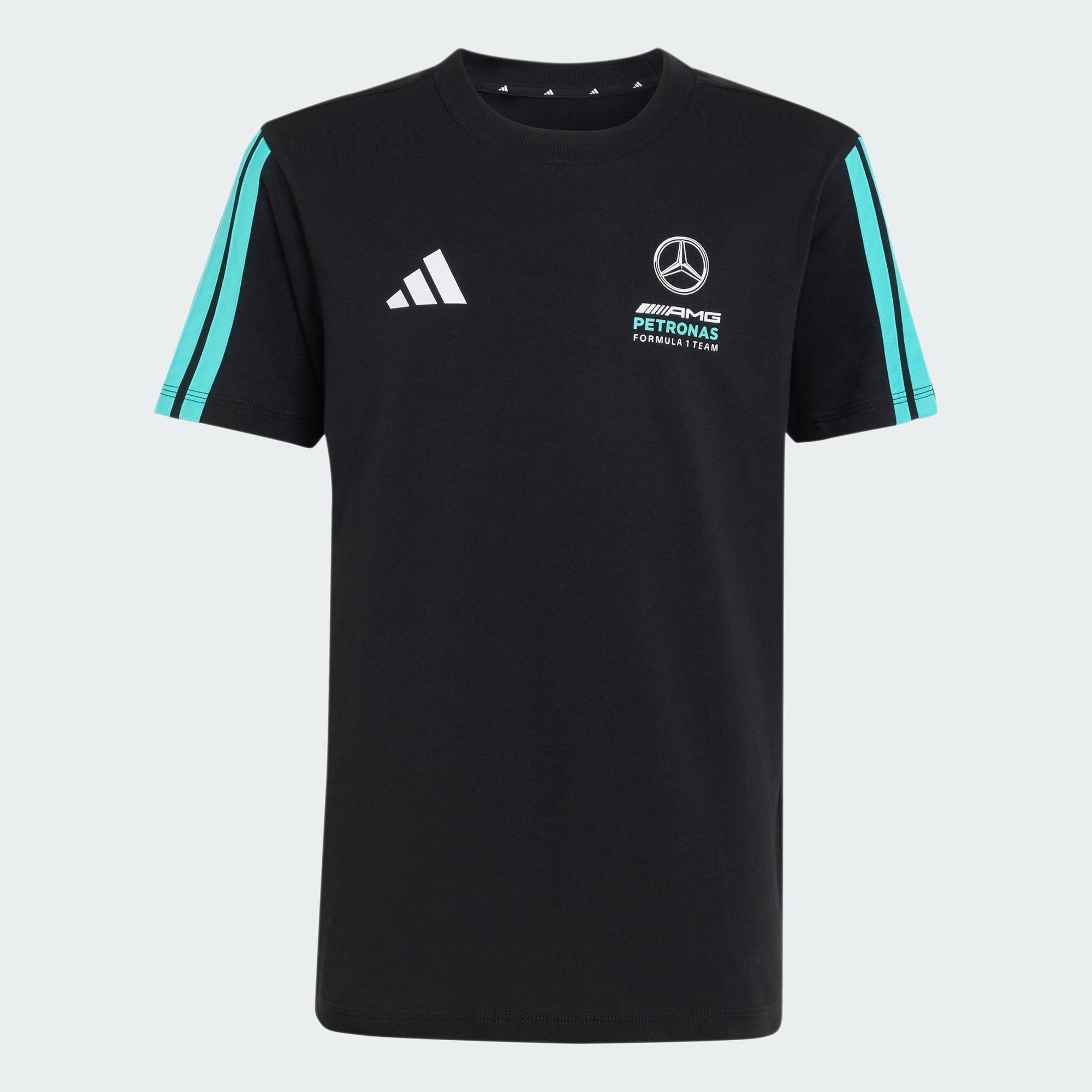 adidas Performance T-Shirt MERCEDES - AMG PETRONAS FORMEL 1 TEAM DNA T-SHIRT (1-tlg)