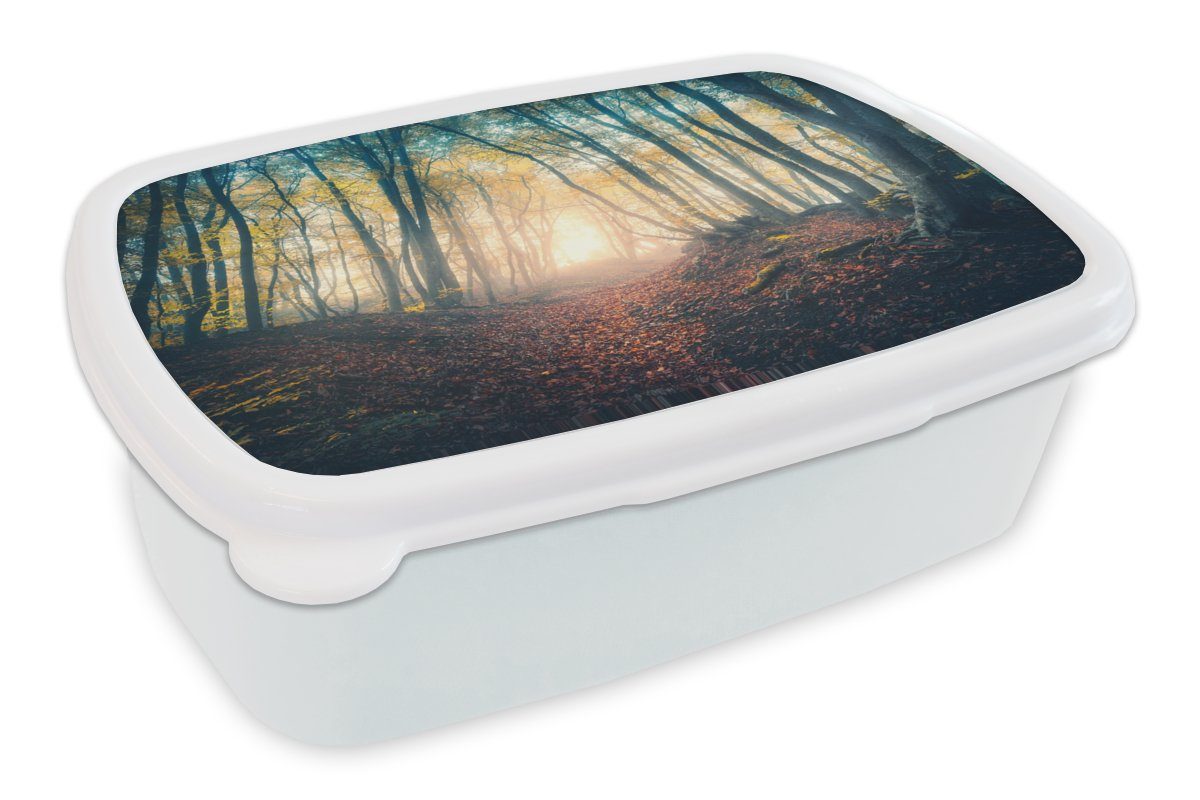 100 % authentisch garantiert MuchoWow Lunchbox Wald - Sonne Kinder - Nebel Jungs Herbst, Kunststoff, - und Brotdose, und weiß (2-tlg), Mädchen Erwachsene, Brotbox für für