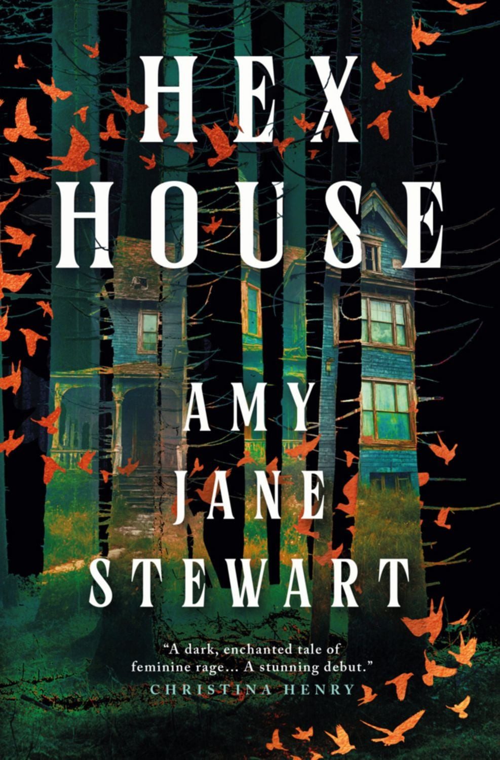 Hex House / Amy Jane Stewart