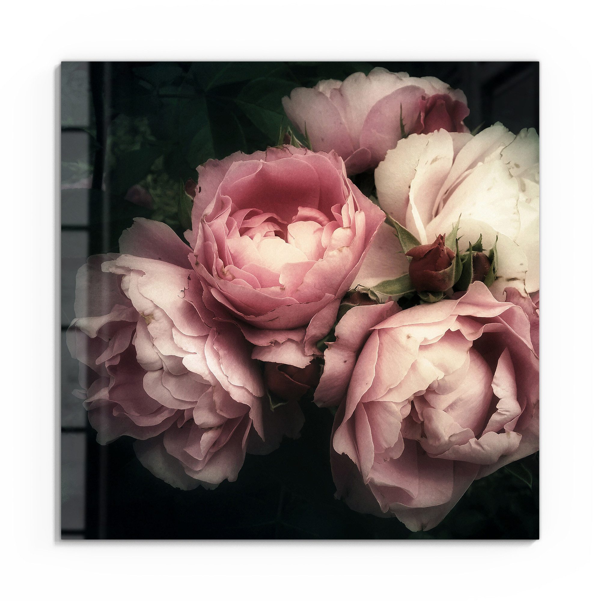 DEQORI Glasbild 'Nostalgische Blüte', 'Nostalgische Blüte', günstig online kaufen