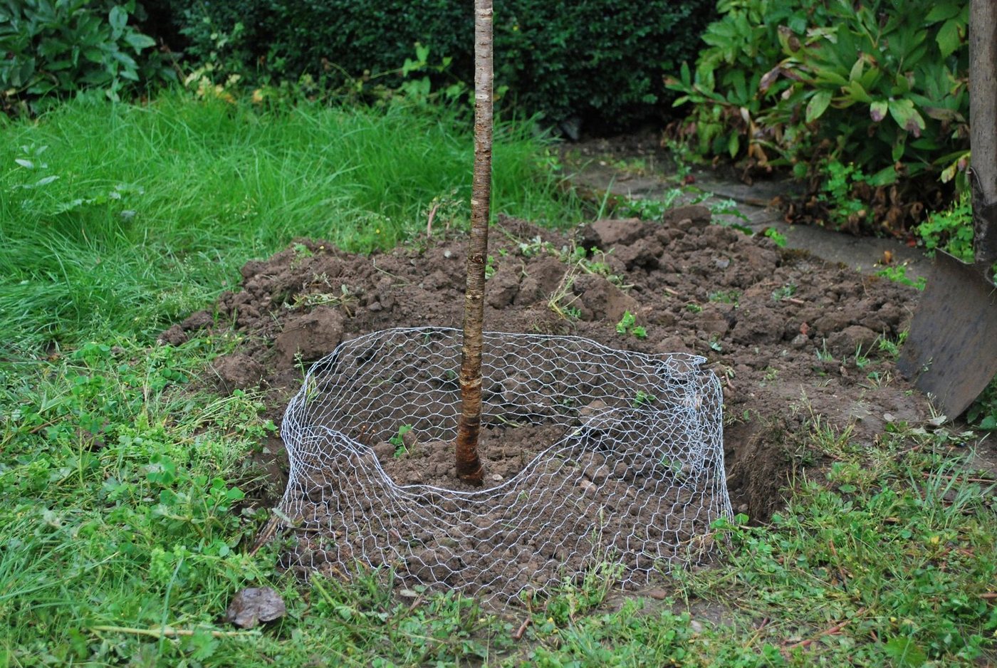 Thumbnail - Kerbl Mäusegitter Kerbl Wühlmauskorb ø 60 cm Hähe 70 cm, Schutzkorb gegen Wurzelverbiss