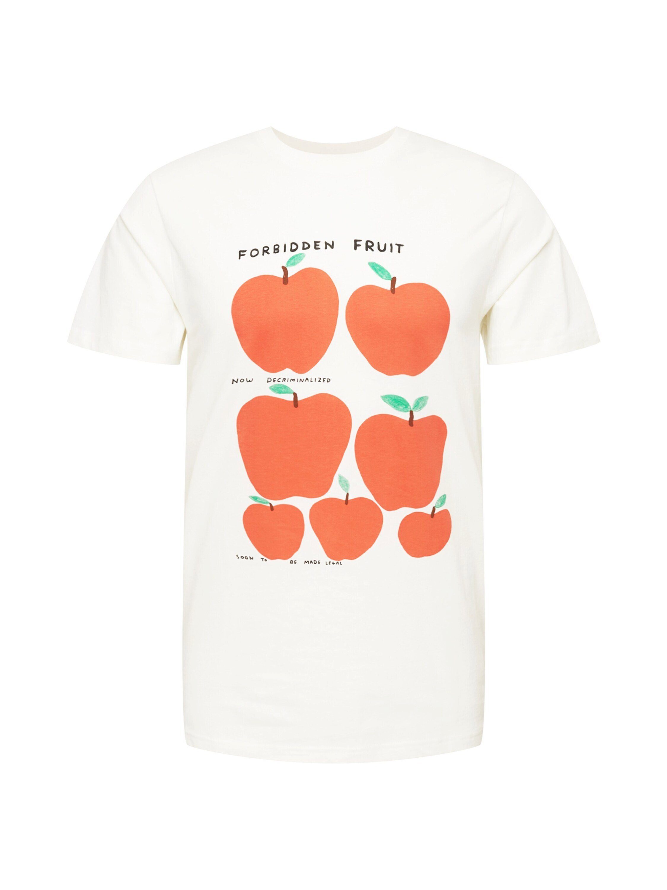 Herren Shirts DEDICATED T-Shirt Stockholm Forbidden Fruit (1-tlg)