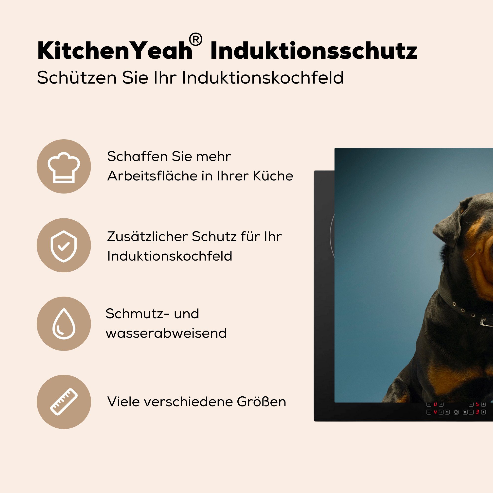 Ceranfeldabdeckung, Rottweilers Herdblende-/Abdeckplatte blauem (1 eines cm, Studiofoto Hintergrund, Arbeitsplatte auf MuchoWow für küche Vinyl, 78x78 tlg),