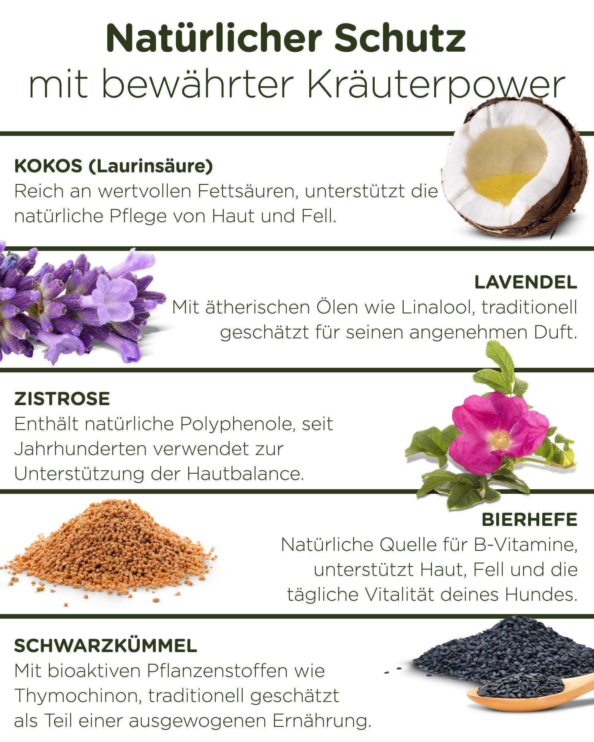 KUNTO Z-Drops - Schutz und Wohlbefinden für Hunde in der aktiven Saison, Ergänzungsfutter für: Hunde, entwickelt und hergestellt in Deutschland