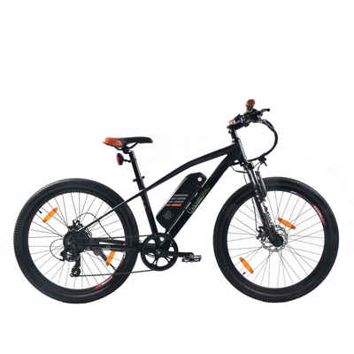 SachsenRAD E-Bike »E-Racing Bike R6 400Wh«, 7 Gang Shimano Tourney TX, Kettenschaltung, 250 W, LED-Beleuchtung, mechanische Scheibenbremse, abnehmbarer und extra großer Akku, USB-Port zum Laden von Smartphones