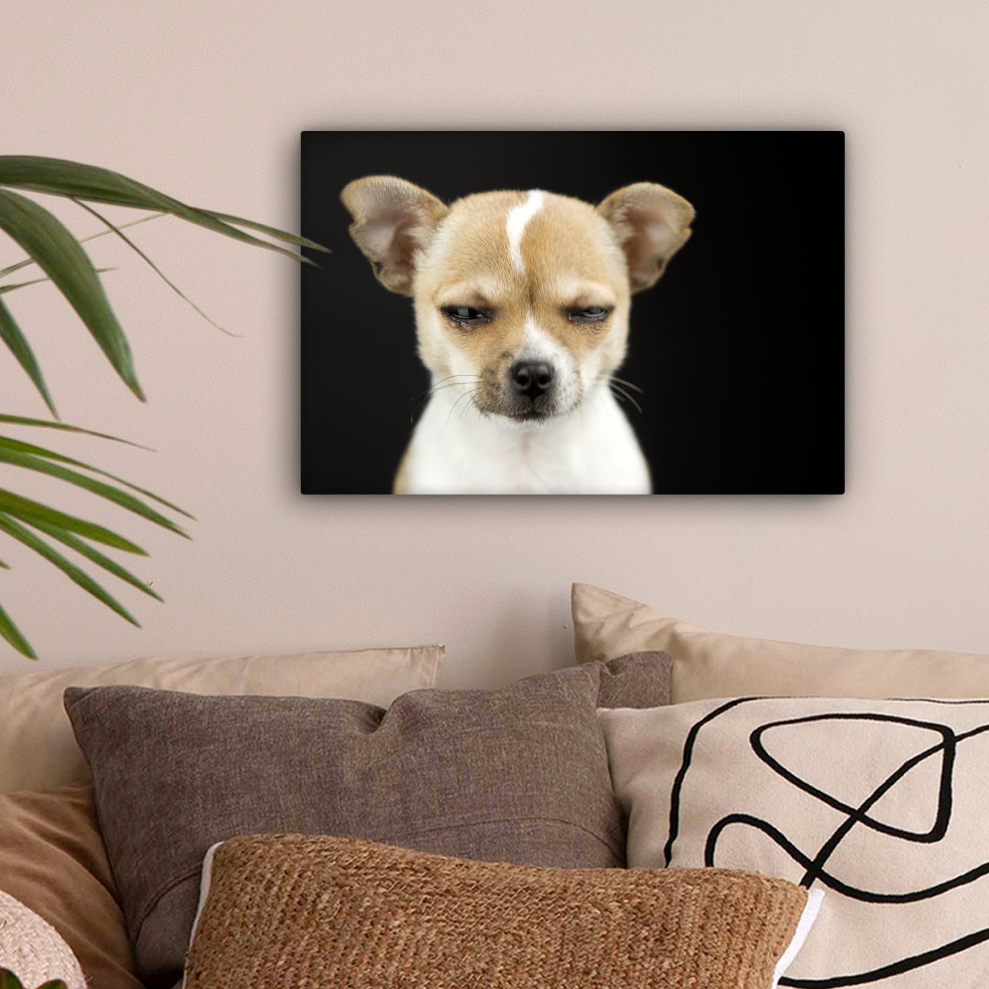 St), Wanddeko, (1 30x20 cm - Leinwandbild OneMillionCanvasses® Aufhängefertig, Leinwandbilder, Haustiere - Hund Porträt, Wandbild