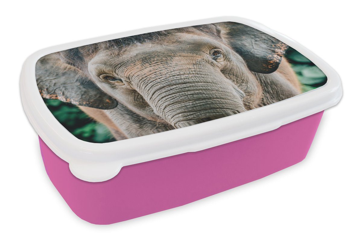 MuchoWow Lunchbox Elefant - Porträt Kunststoff Snackbox, für Grau, - rosa - Erwachsene, Kinder, Kunststoff, Tiere Brotbox Brotdose (2-tlg), Mädchen