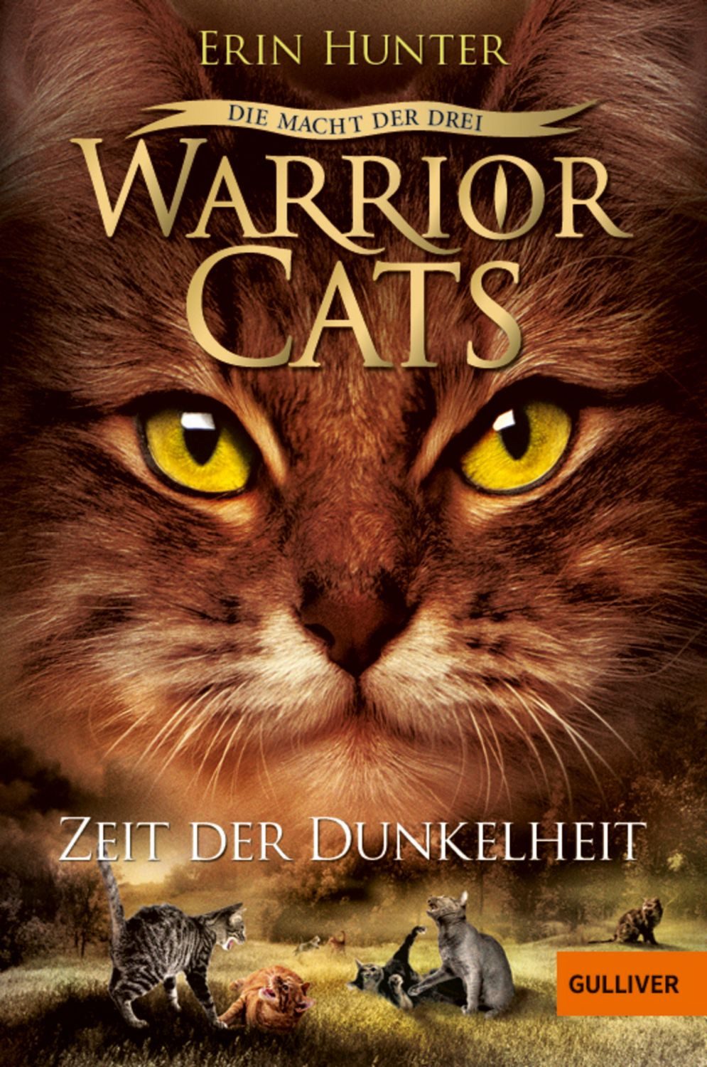 Warrior Cats - Die Macht der drei. Zeit der Dunkelheit / Erin Hunter
