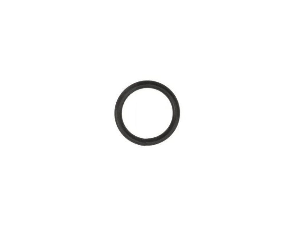 Speck Pumpen Filterpumpe O-Ring für Entleerschraube für Speck BADU 90