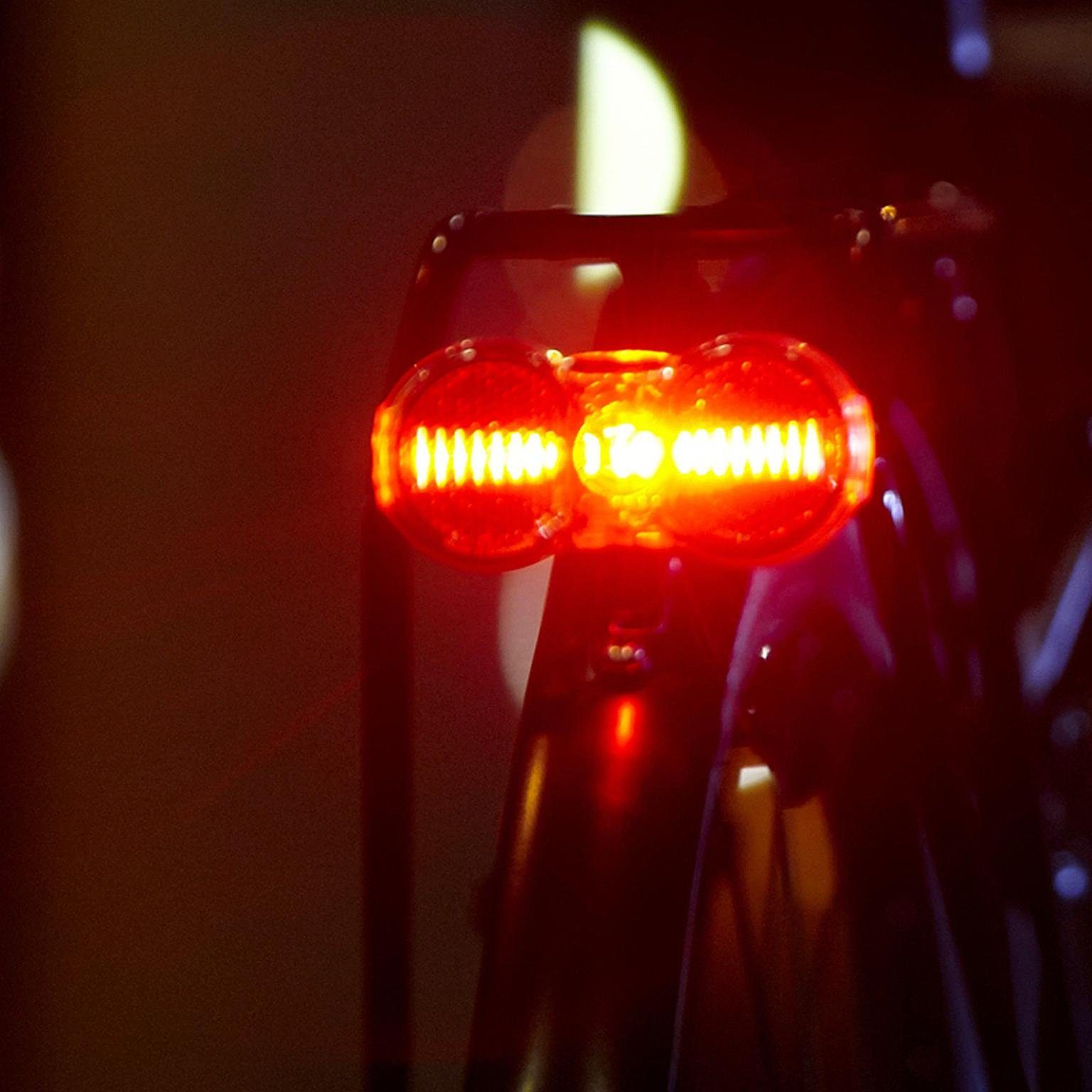 Busch + Müller Fahrrad-Rücklicht D-Toplight Flat S Linetec