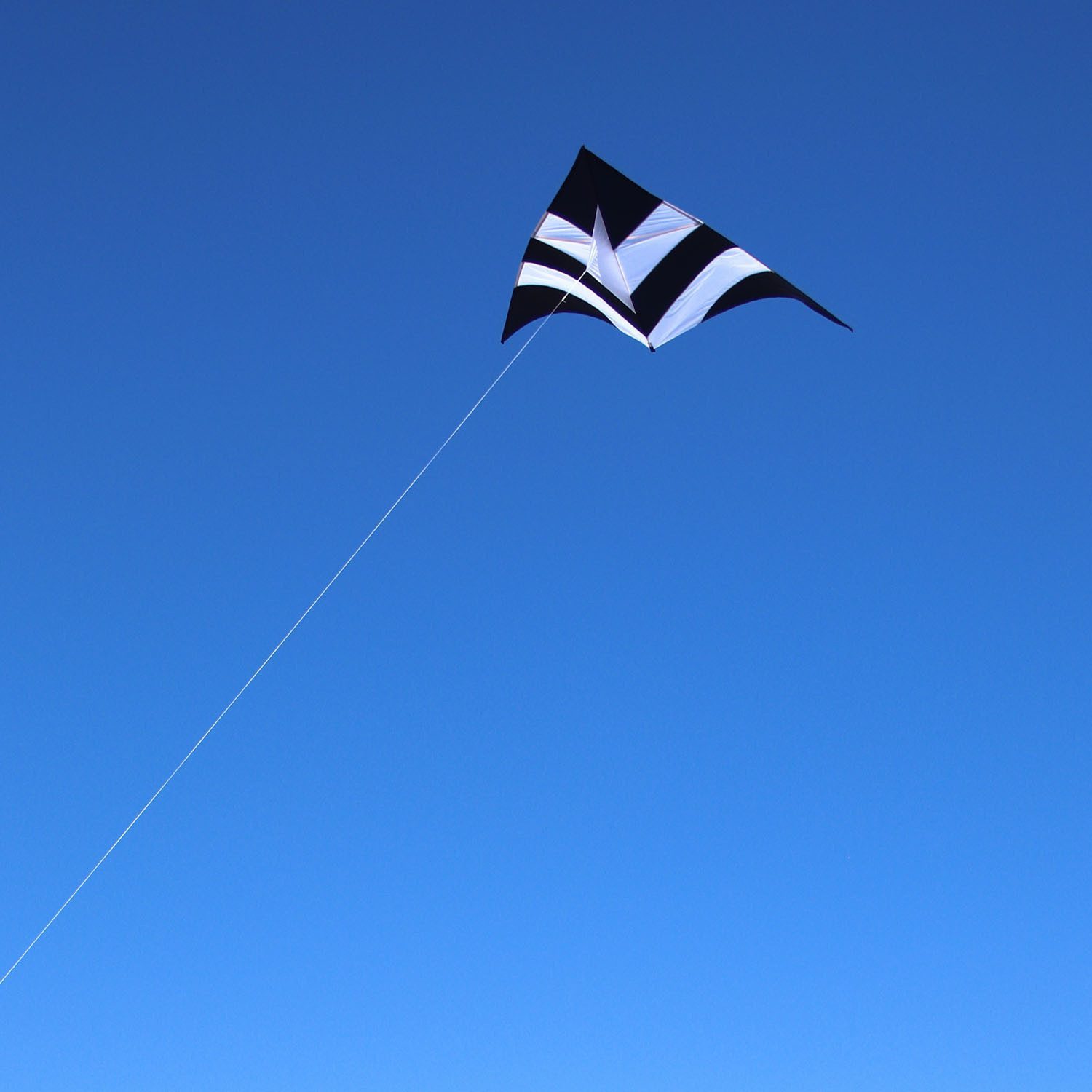 Wolkenstürmer Flug-Drache Delta Einleinerdrachen Ready to Fly Outdoor Kite, (Stabiler Freizeitdrachen 300 cm ready to fly ab 12 Jahren, 1-tlg), Einleiner Lifter Kite schwarz-weiß mit 55 m Schnur