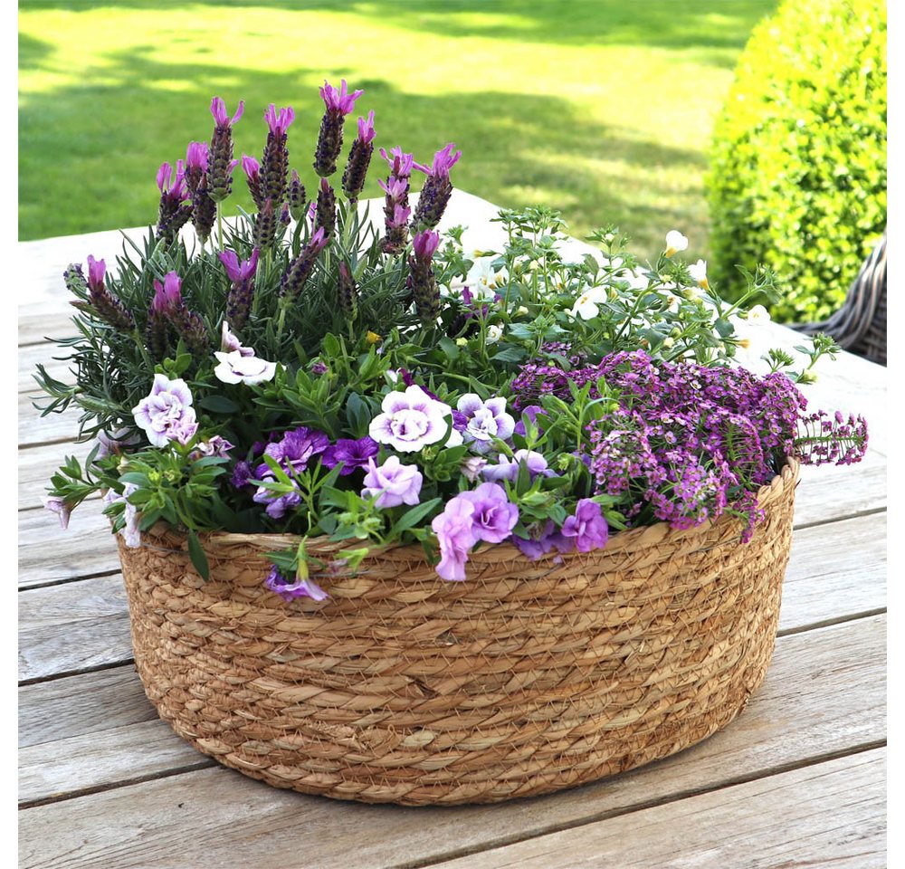 Thumbnail - Grafelstein Blumentopf Pflanzschale SEASON braun D40cm aus Pflanzenfaser