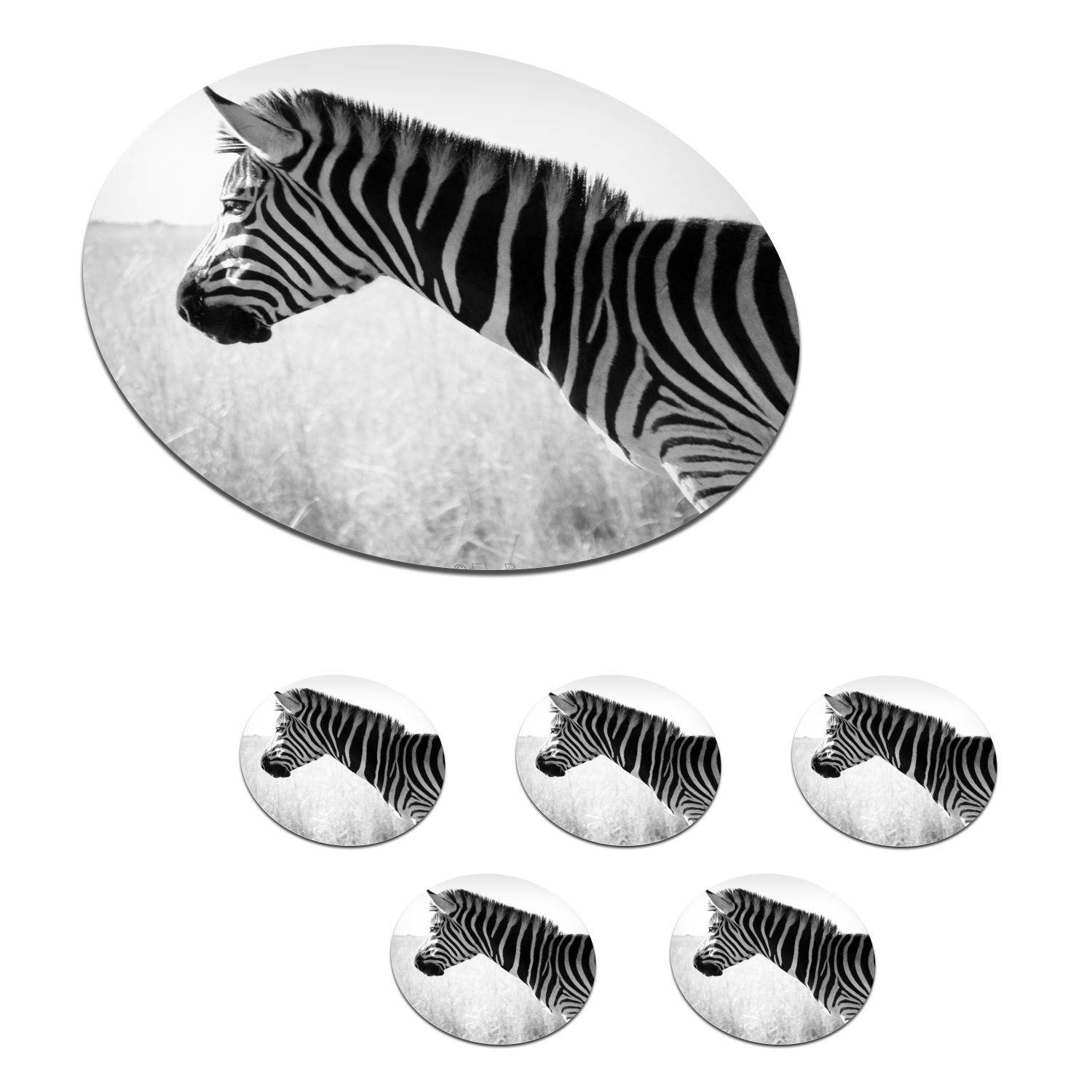 MuchoWow Glasuntersetzer Zebra im hohen Gras, Zubehör für Gläser, 6-tlg., Getränkeuntersetzer, Tassenuntersetzer, Korkuntersetzer, Tasse, Becher